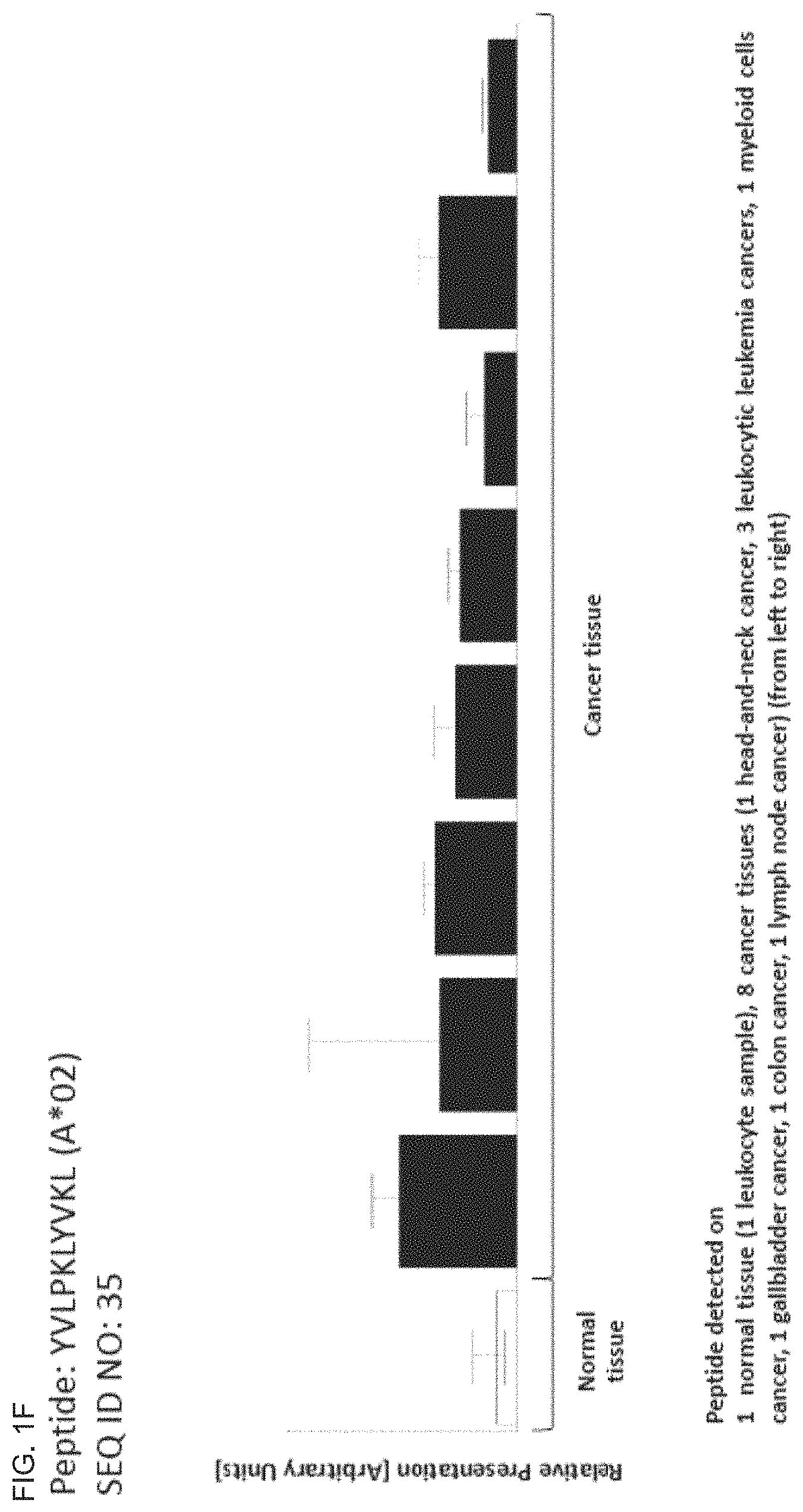Patent US11793866 Figure 6 – Peptides and T cells for use in immunotherapeutic treatment of various cancers