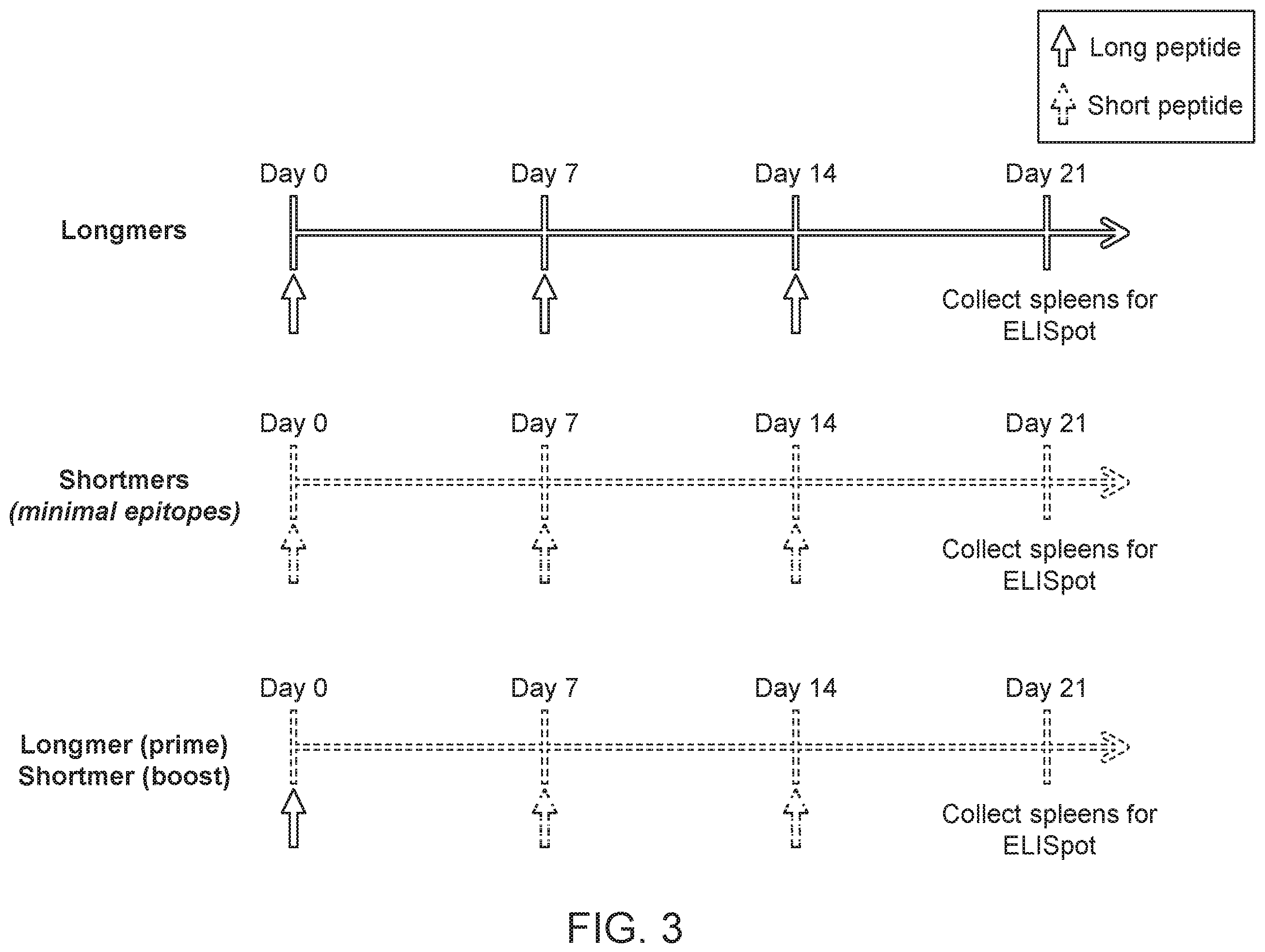 Patent US11793867 Figure 3 – Neoantigens and uses thereof