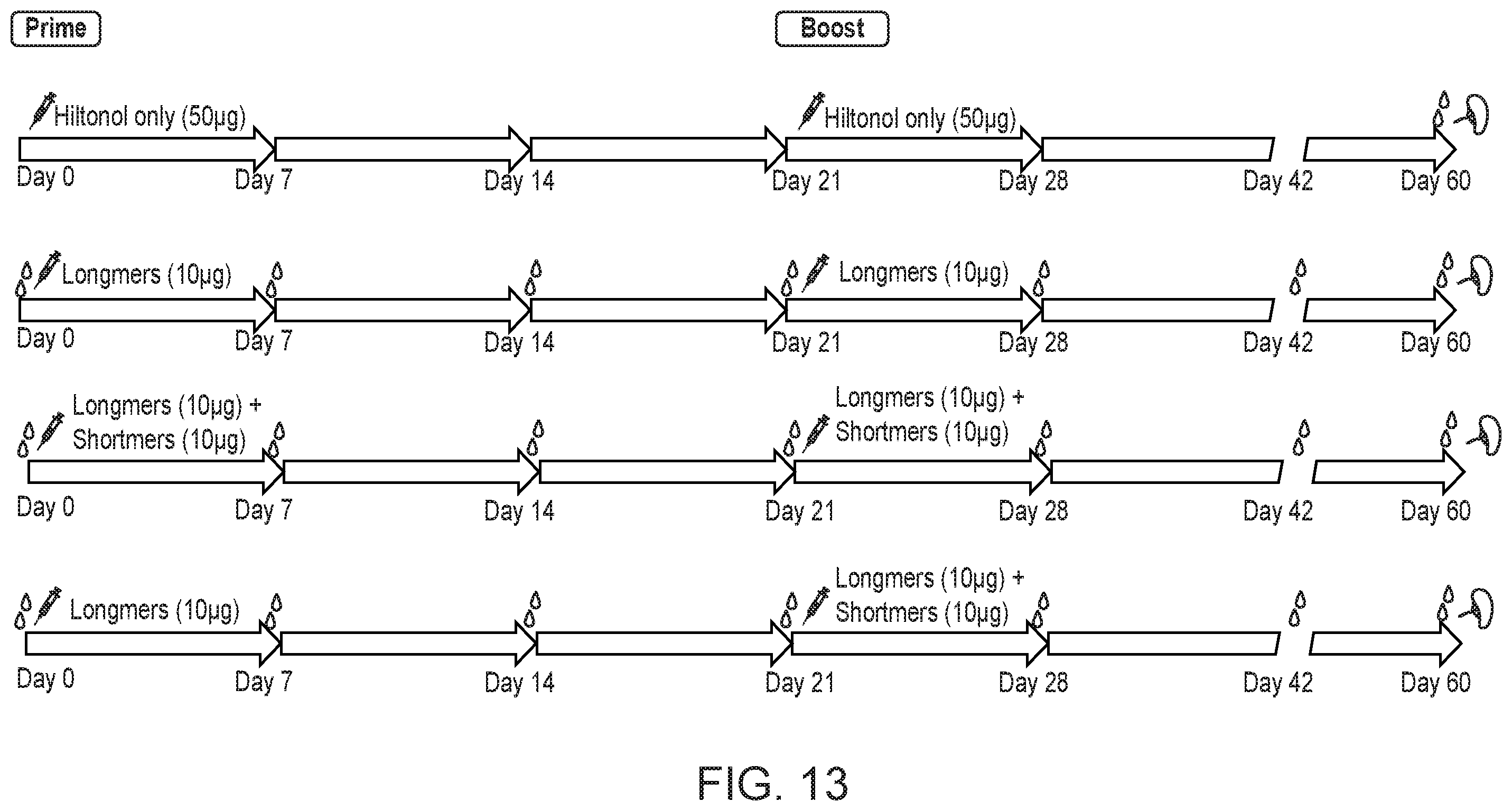 Patent US11793867 Figure 16 – Neoantigens and uses thereof