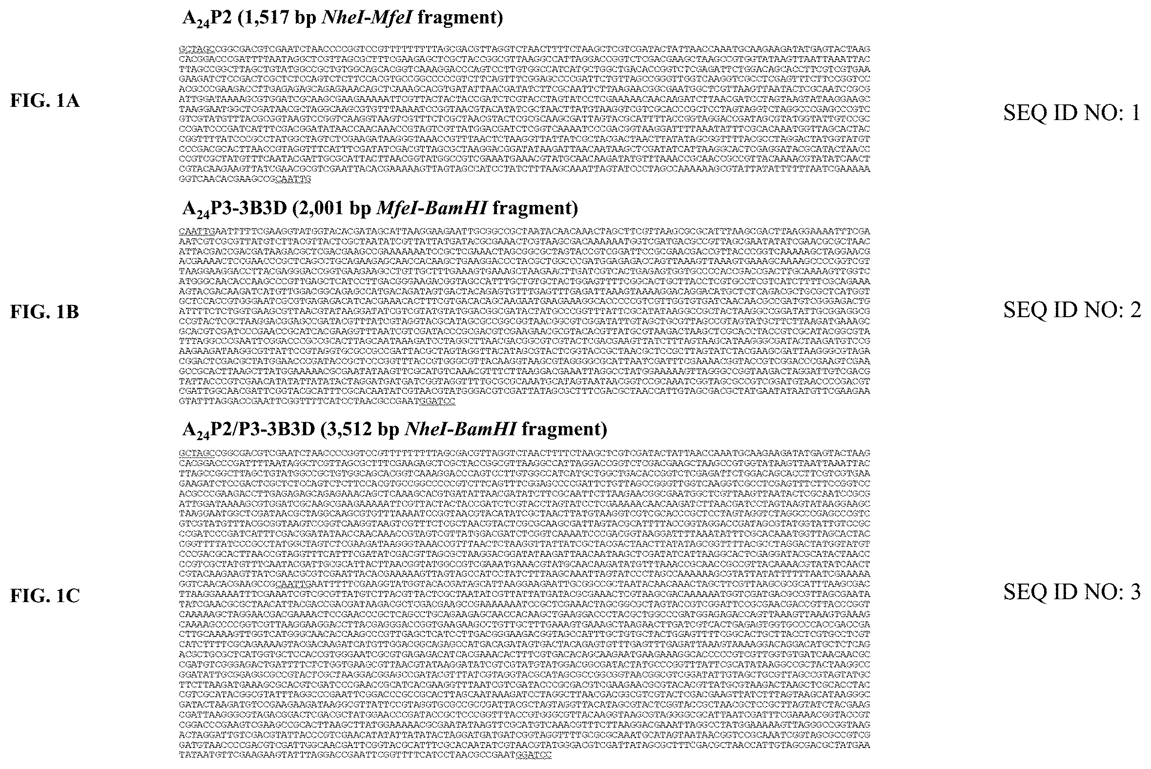 Patent US11793870 Figure 1 – Live attenuated strains of foot and mouth disease modified by deoptimization and uses thereof