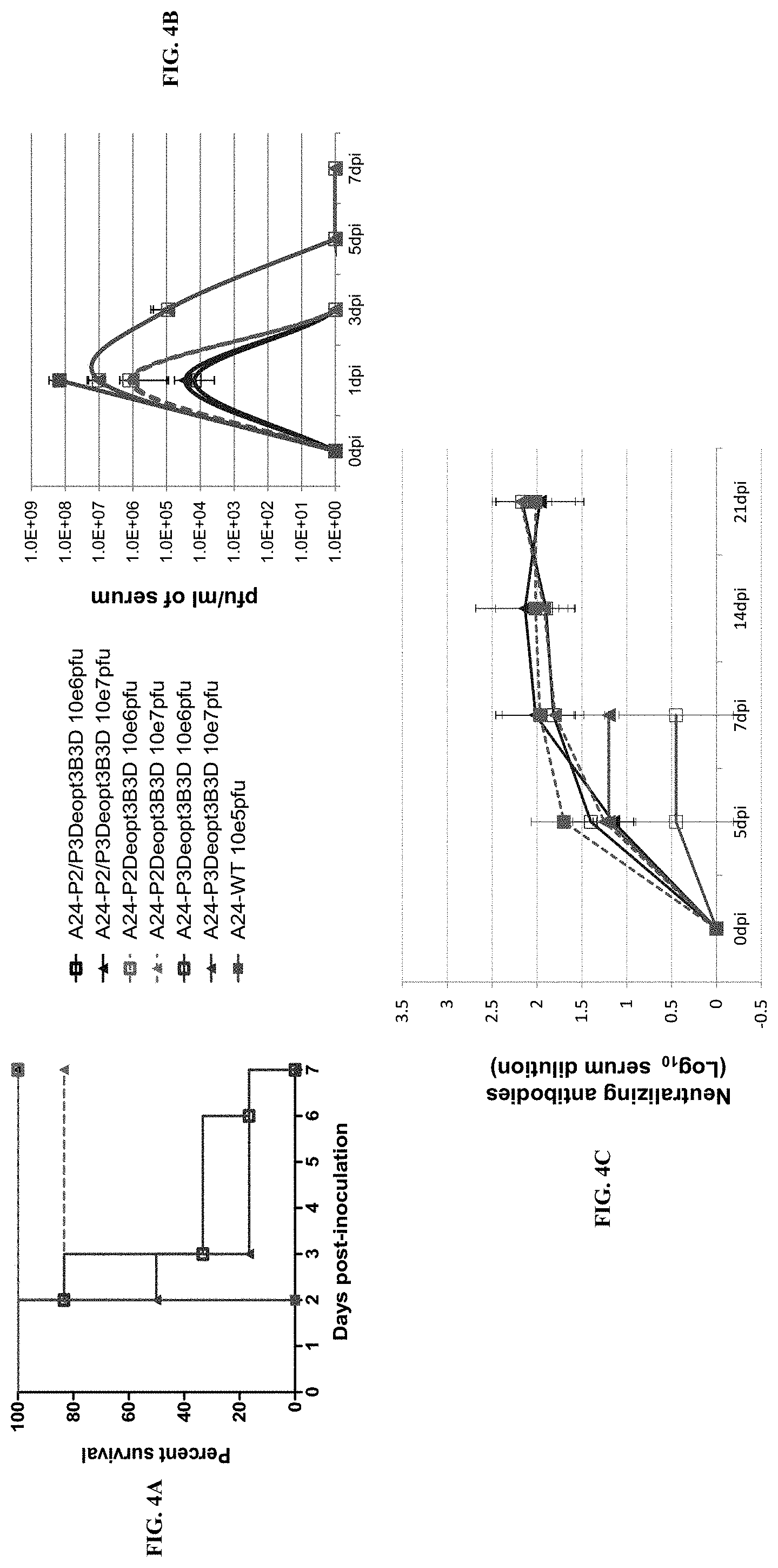 Patent US11793870 Figure 4 – Live attenuated strains of foot and mouth disease modified by deoptimization and uses thereof