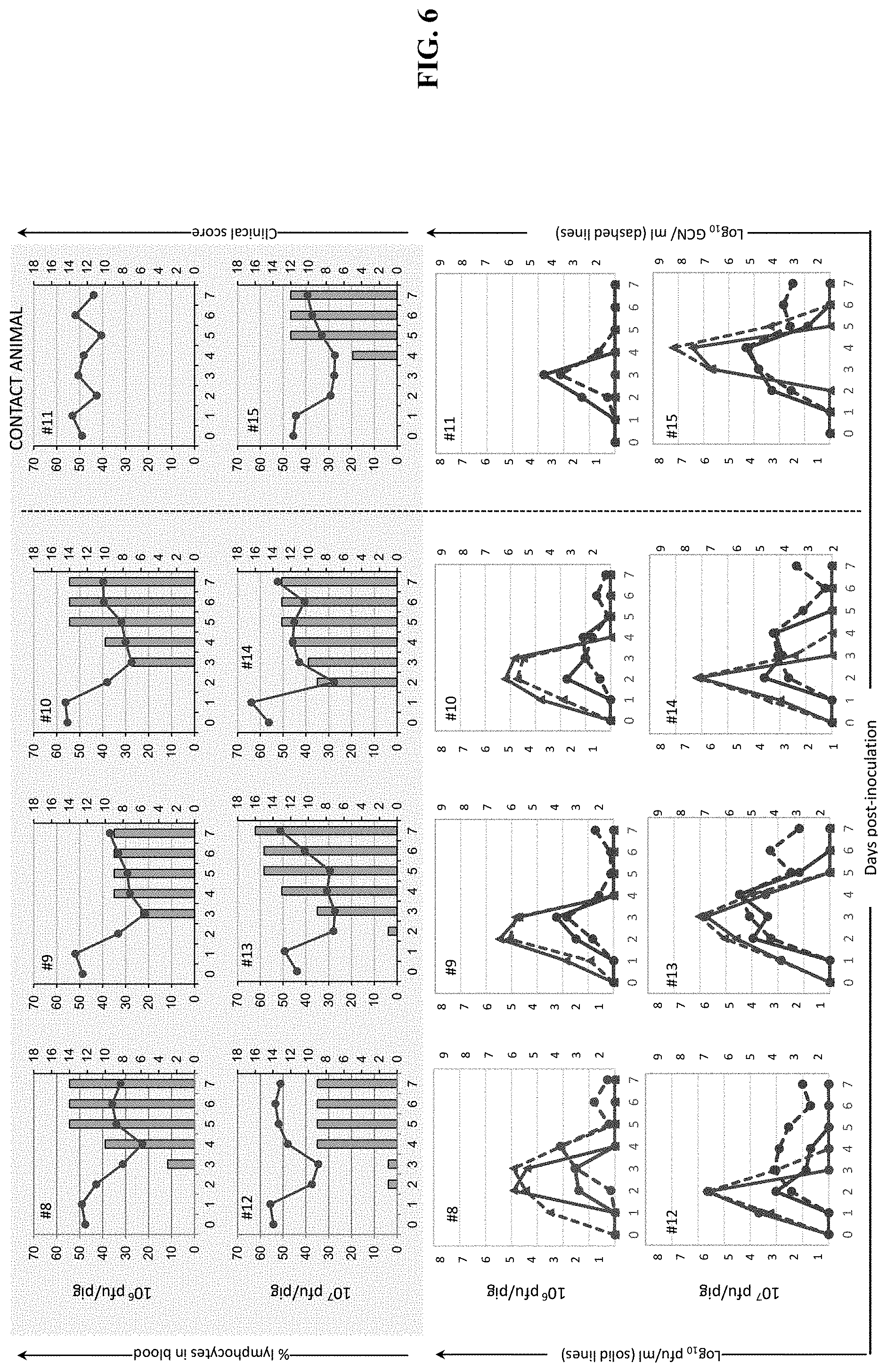 Patent US11793870 Figure 6 – Live attenuated strains of foot and mouth disease modified by deoptimization and uses thereof