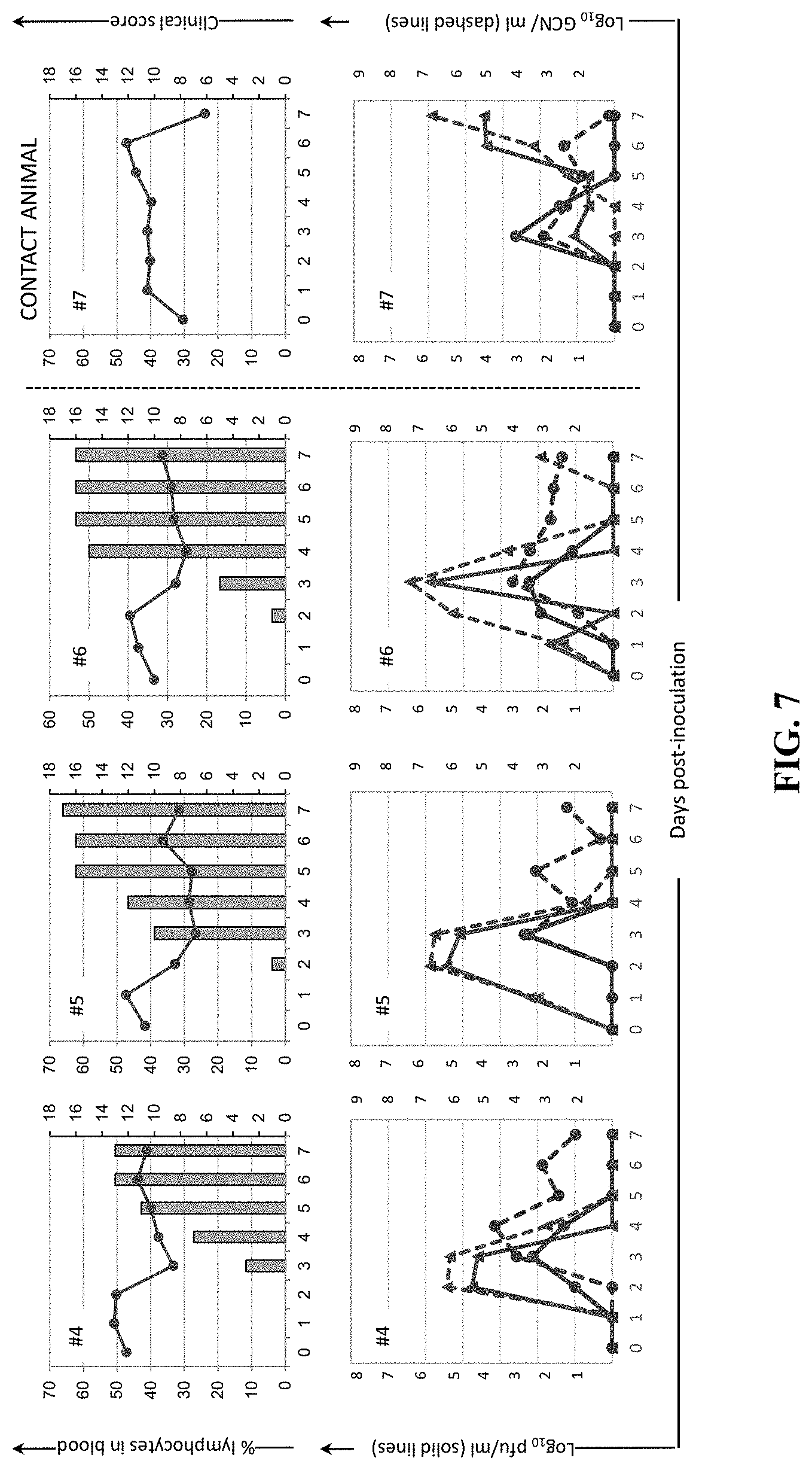 Patent US11793870 Figure 7 – Live attenuated strains of foot and mouth disease modified by deoptimization and uses thereof