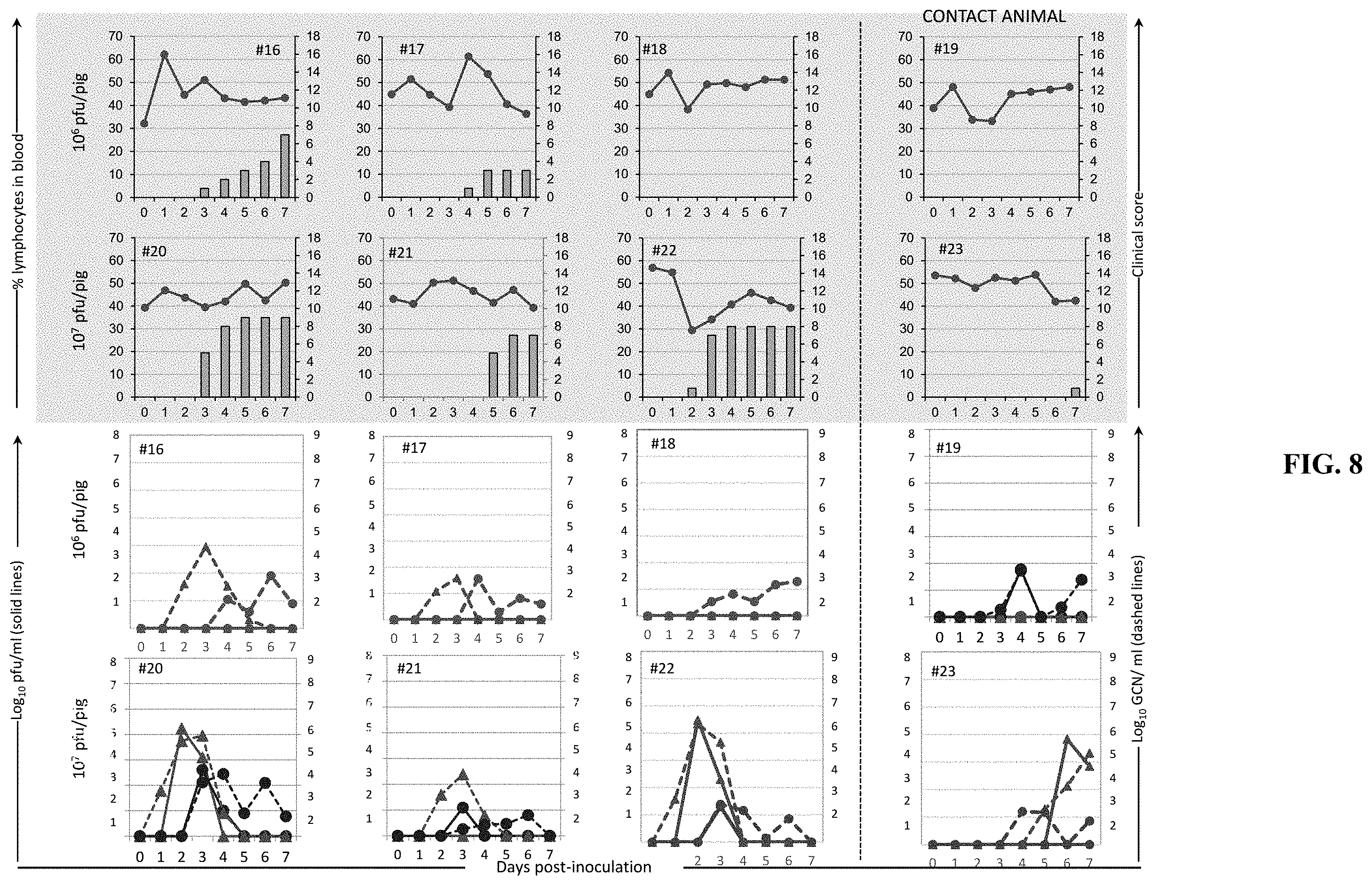 Patent US11793870 Figure 8 – Live attenuated strains of foot and mouth disease modified by deoptimization and uses thereof
