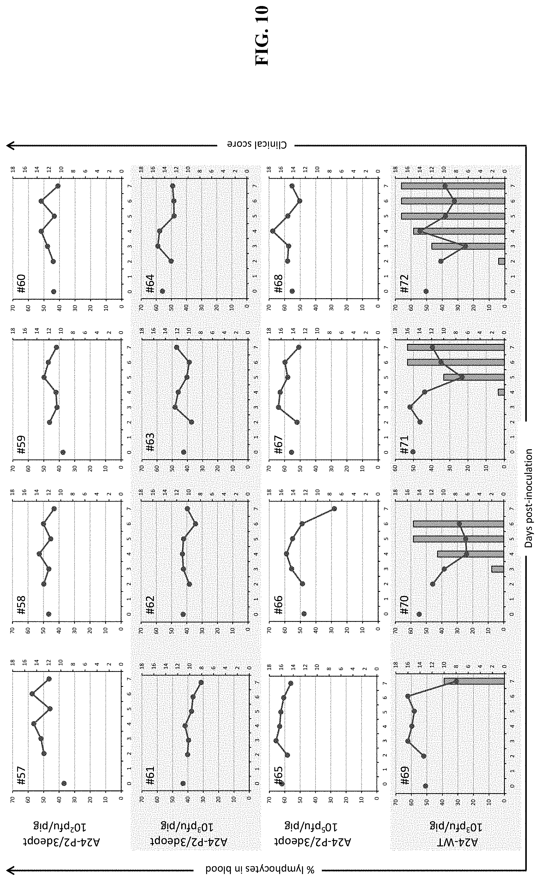 Patent US11793870 Figure 10 – Live attenuated strains of foot and mouth disease modified by deoptimization and uses thereof