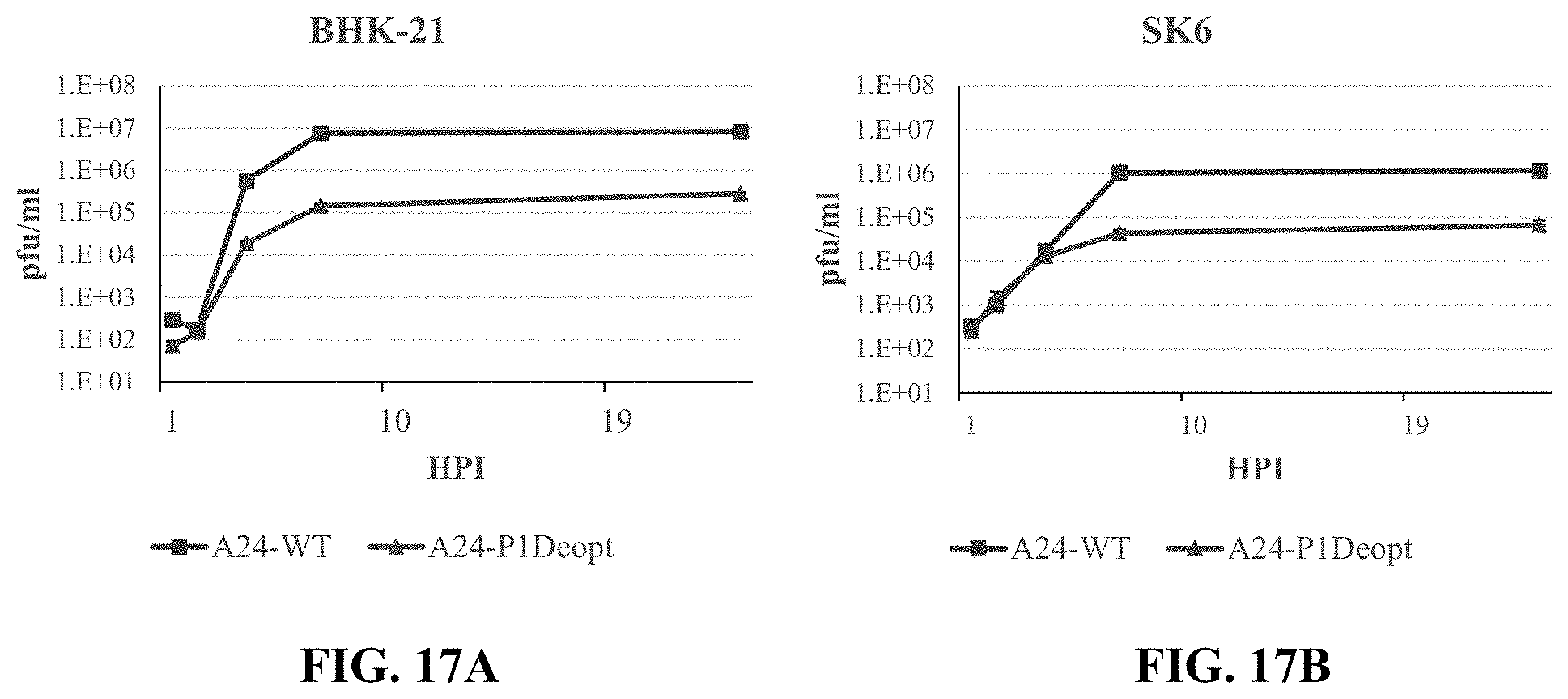 Patent US11793870 Figure 17 – Live attenuated strains of foot and mouth disease modified by deoptimization and uses thereof