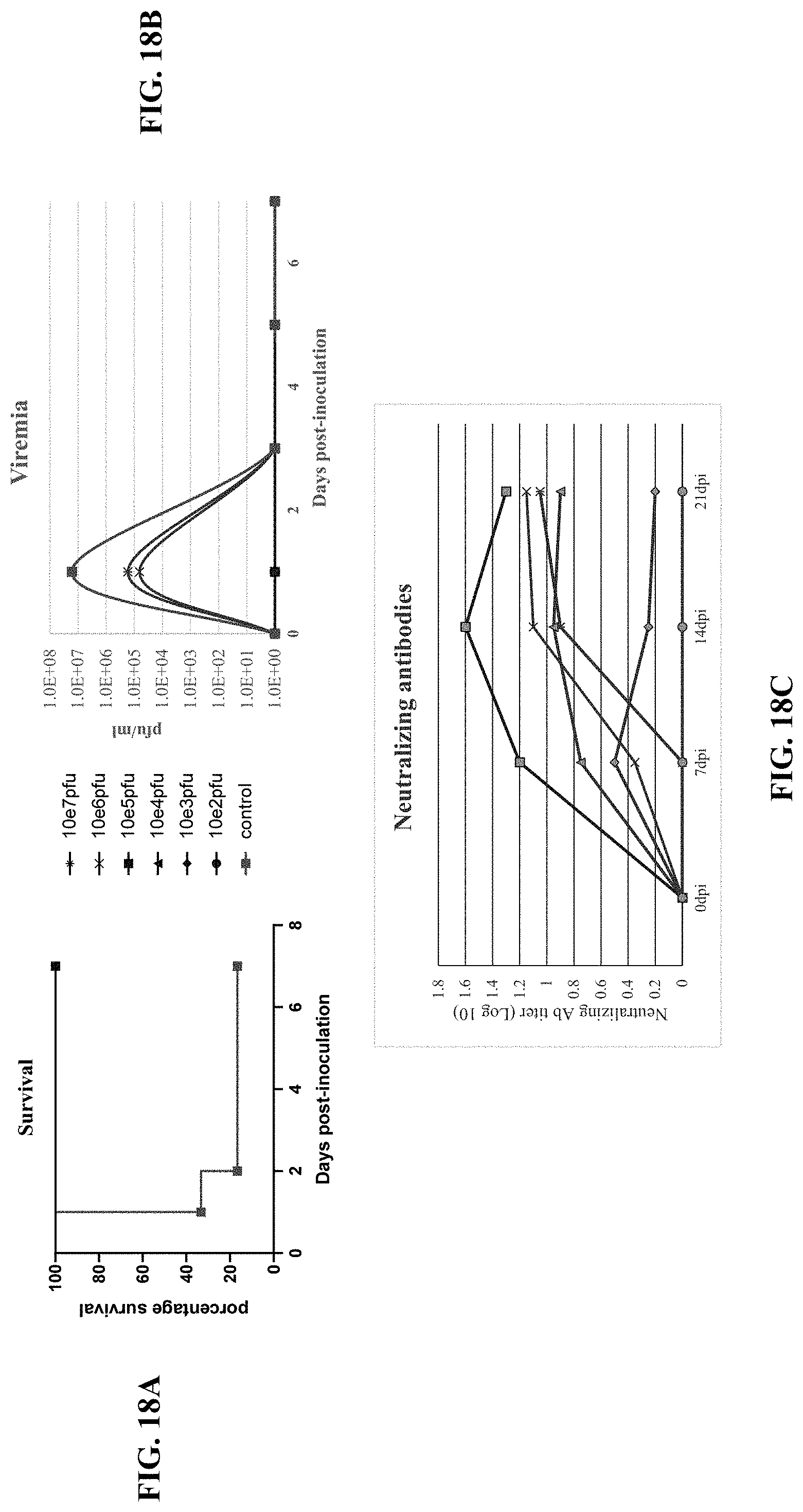 Patent US11793870 Figure 18 – Live attenuated strains of foot and mouth disease modified by deoptimization and uses thereof