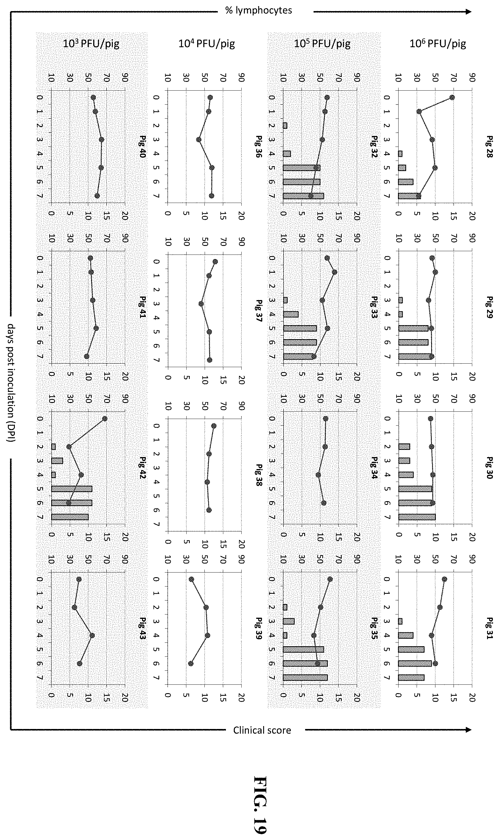 Patent US11793870 Figure 19 – Live attenuated strains of foot and mouth disease modified by deoptimization and uses thereof