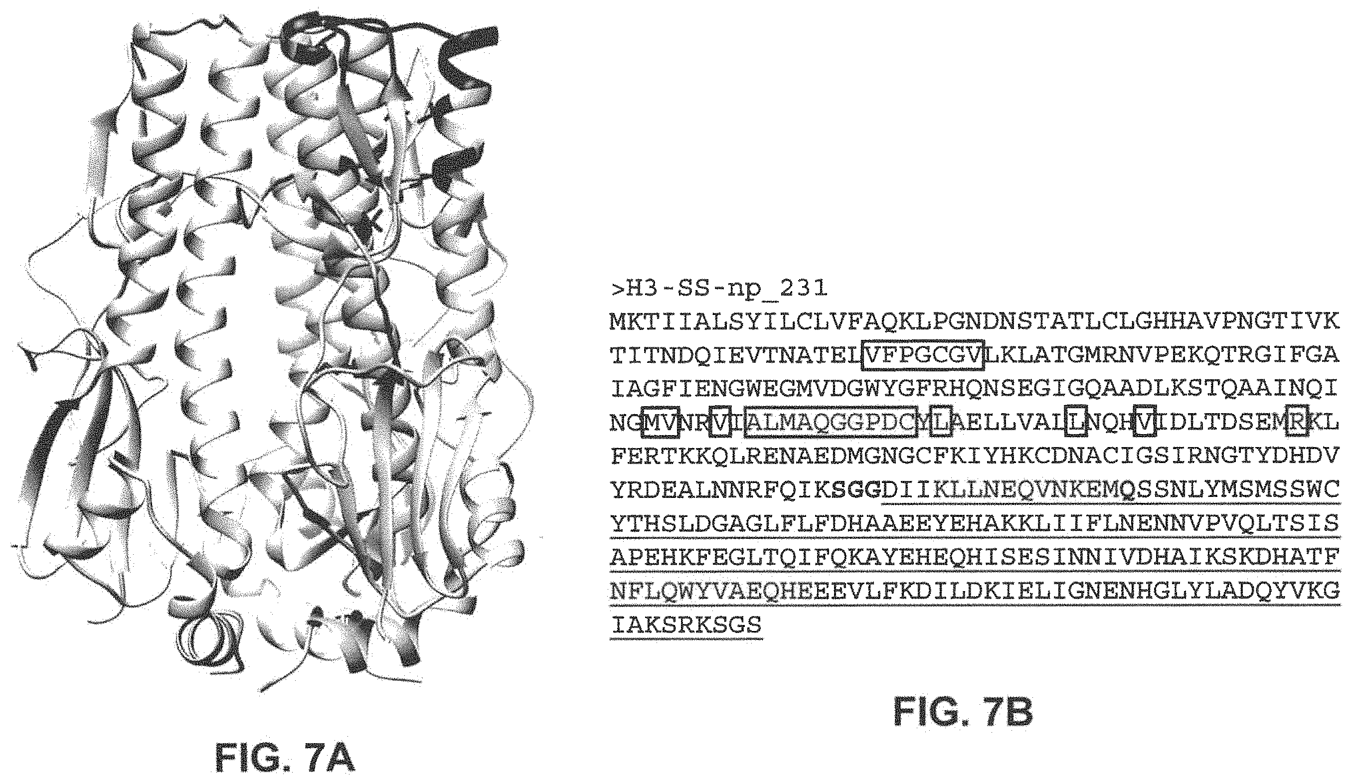 Patent US11793871 Figure 10 – Stabilized group 2 influenza hemagglutinin stem region trimers and uses thereof