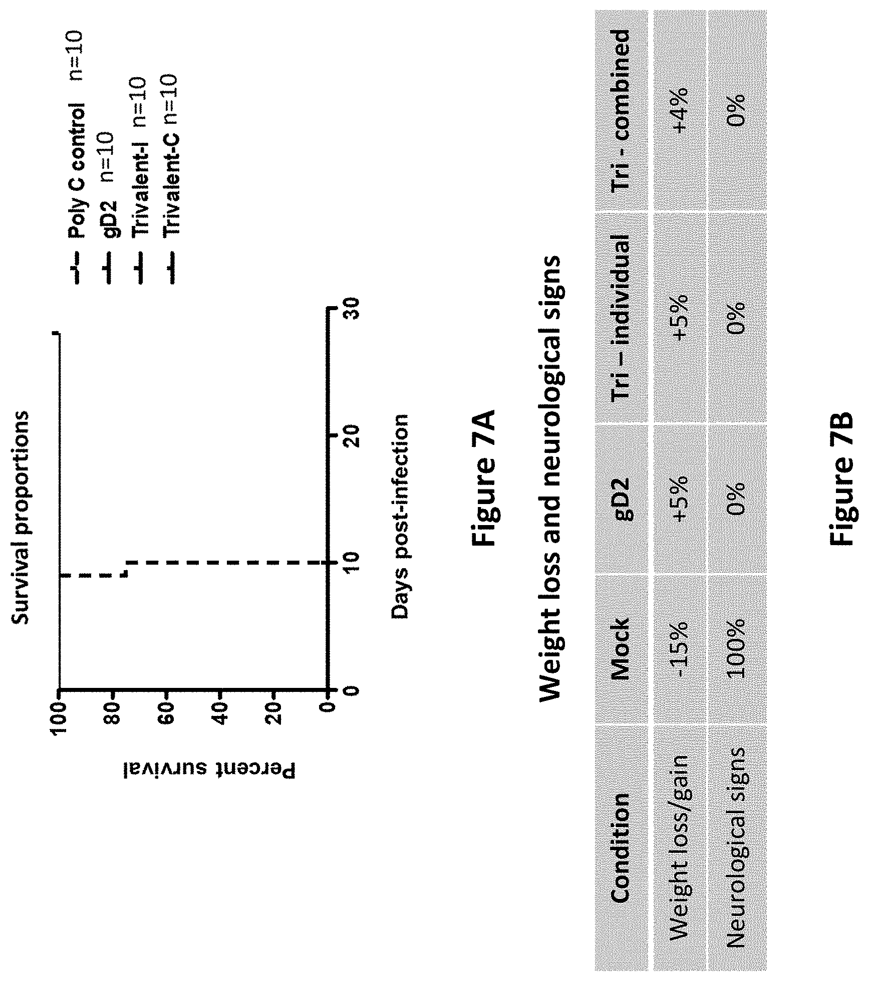Patent US11793872 Figure 7 – Modified MRNA vaccines encoding herpes simplex virus glycoproteins and uses thereof
