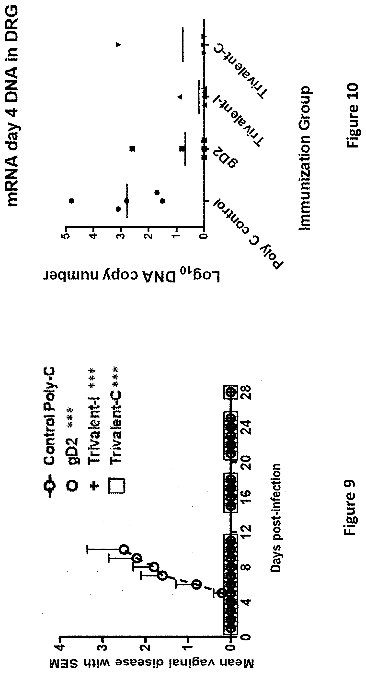 Patent US11793872 Figure 9 – Modified MRNA vaccines encoding herpes simplex virus glycoproteins and uses thereof