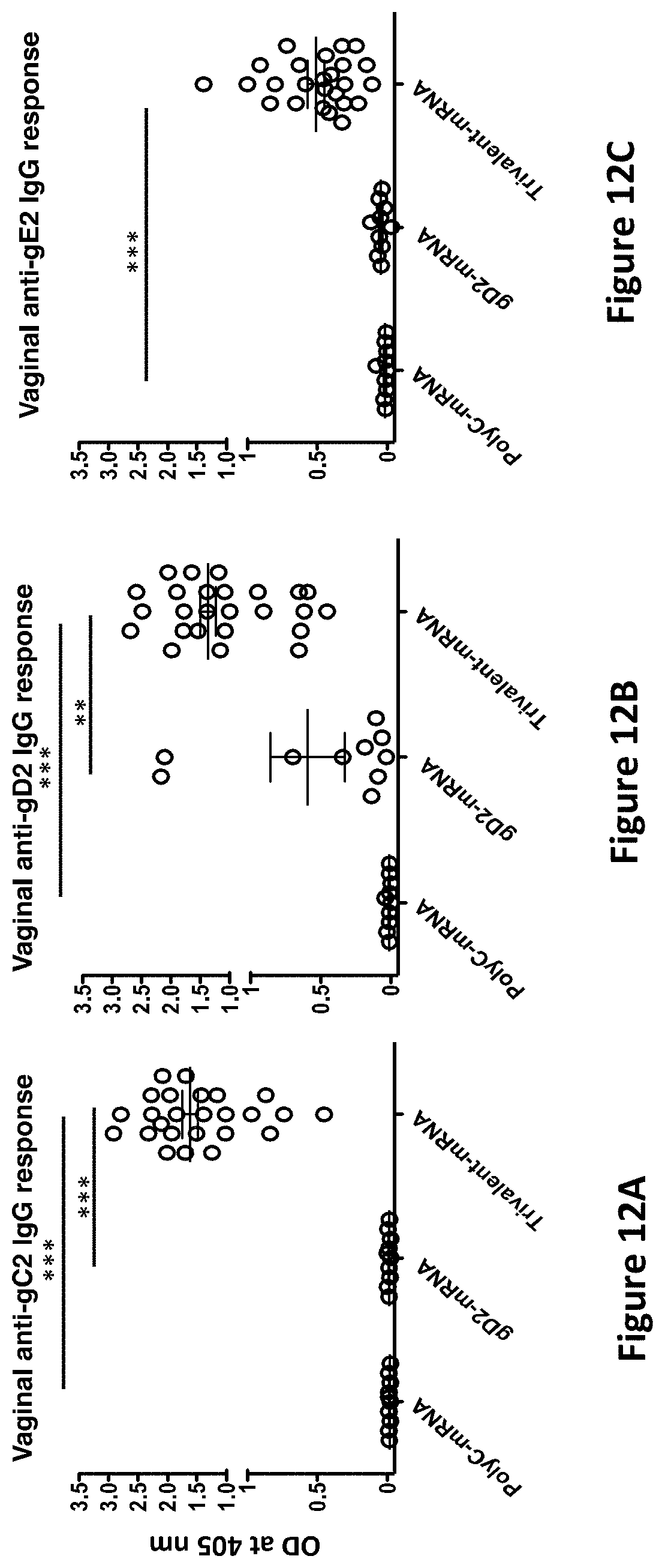 Patent US11793872 Figure 11 – Modified MRNA vaccines encoding herpes simplex virus glycoproteins and uses thereof