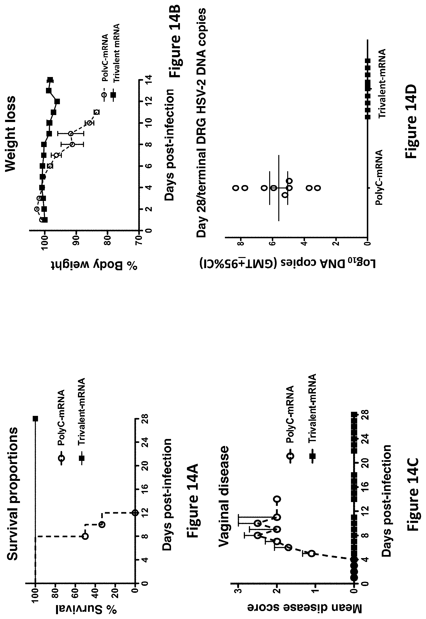 Patent US11793872 Figure 13 – Modified MRNA vaccines encoding herpes simplex virus glycoproteins and uses thereof