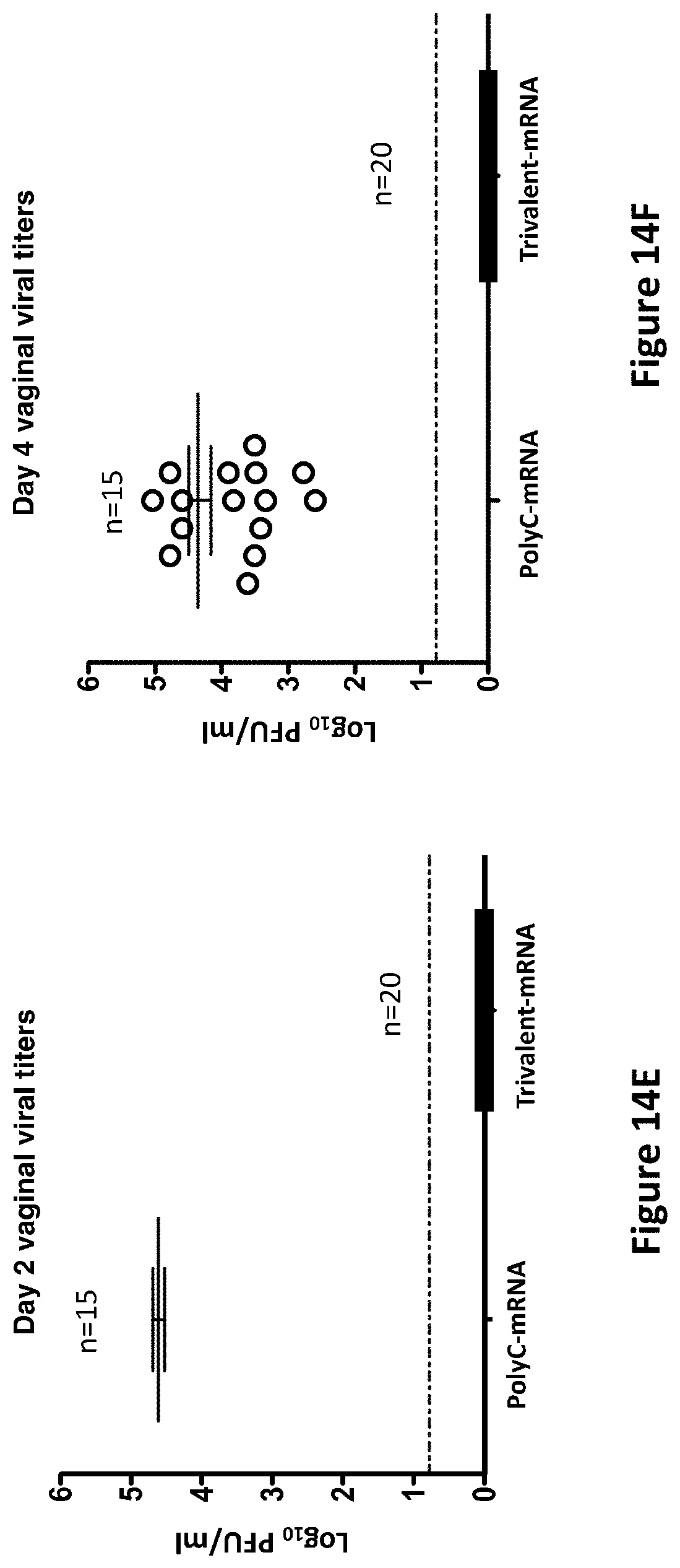 Patent US11793872 Figure 14 – Modified MRNA vaccines encoding herpes simplex virus glycoproteins and uses thereof
