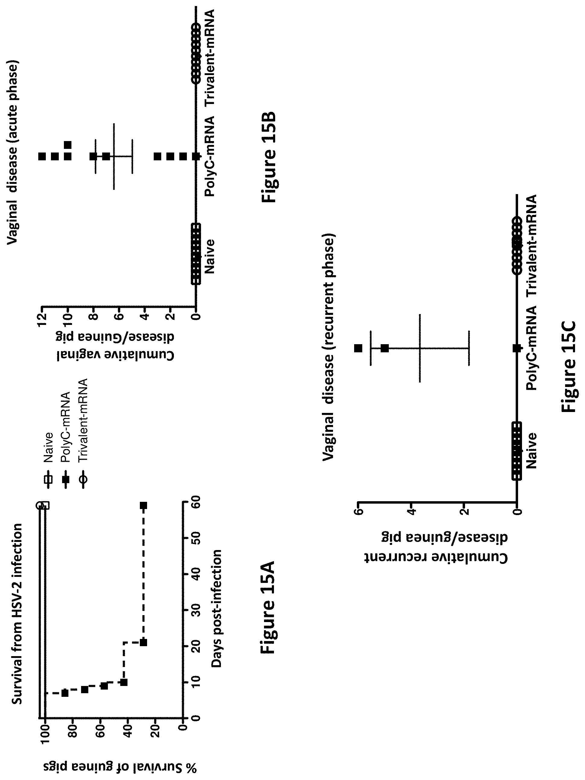 Patent US11793872 Figure 15 – Modified MRNA vaccines encoding herpes simplex virus glycoproteins and uses thereof