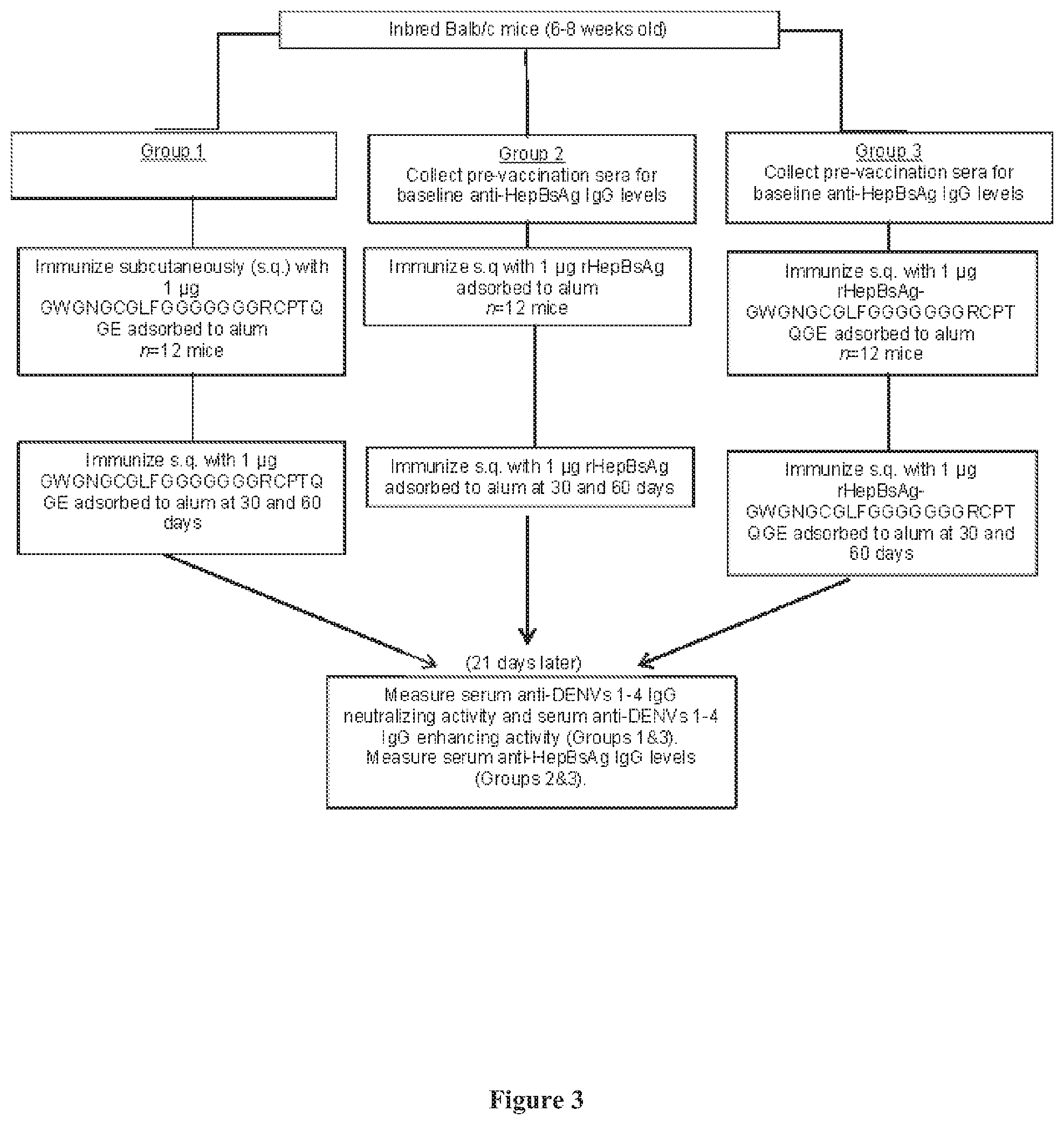 Patent US11793873 Figure 3 – Bivalent dengue/hepatitis B vaccines
