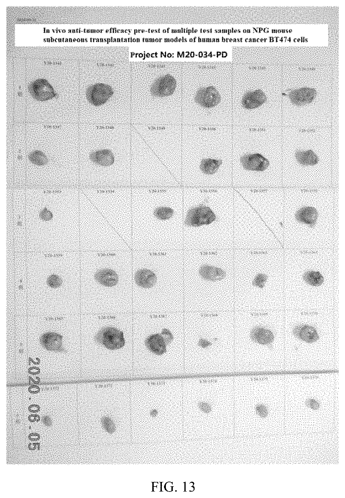 Patent US11793881 Figure 6 – Polyethylene glycol conjugate medicament, preparation method therefor and use thereof