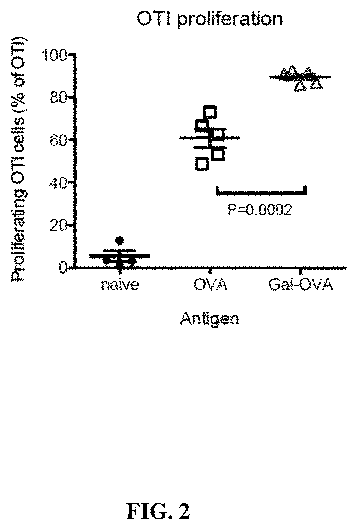 Patent US11793882 Figure 2 – Glycotargeting therapeutics