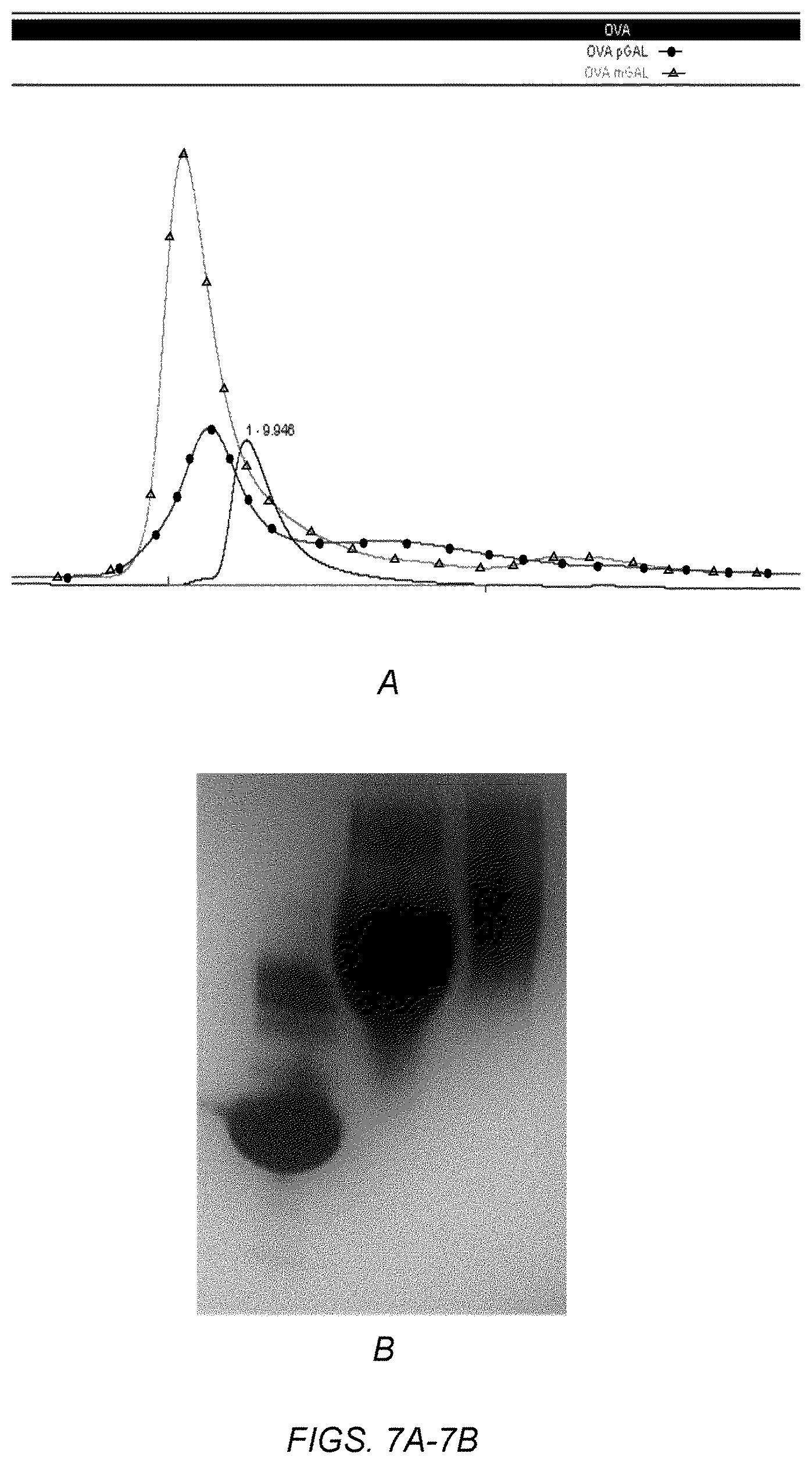 Patent US11793882 Figure 7 – Glycotargeting therapeutics