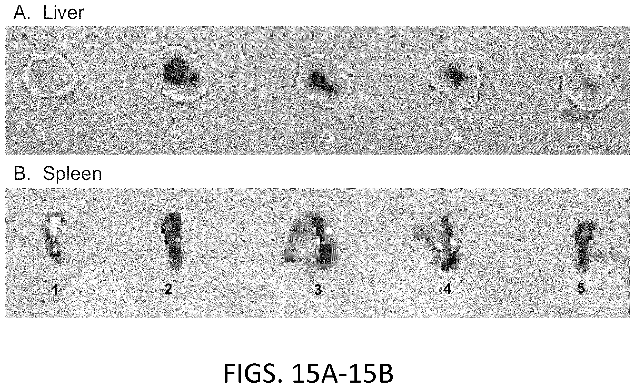 Patent US11793882 Figure 15 – Glycotargeting therapeutics