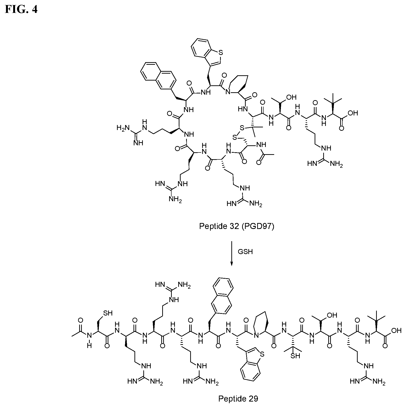 Patent US11793884 Figure 5 – Cyclic peptidyl inhibitors of CAL-PDZ binding domain