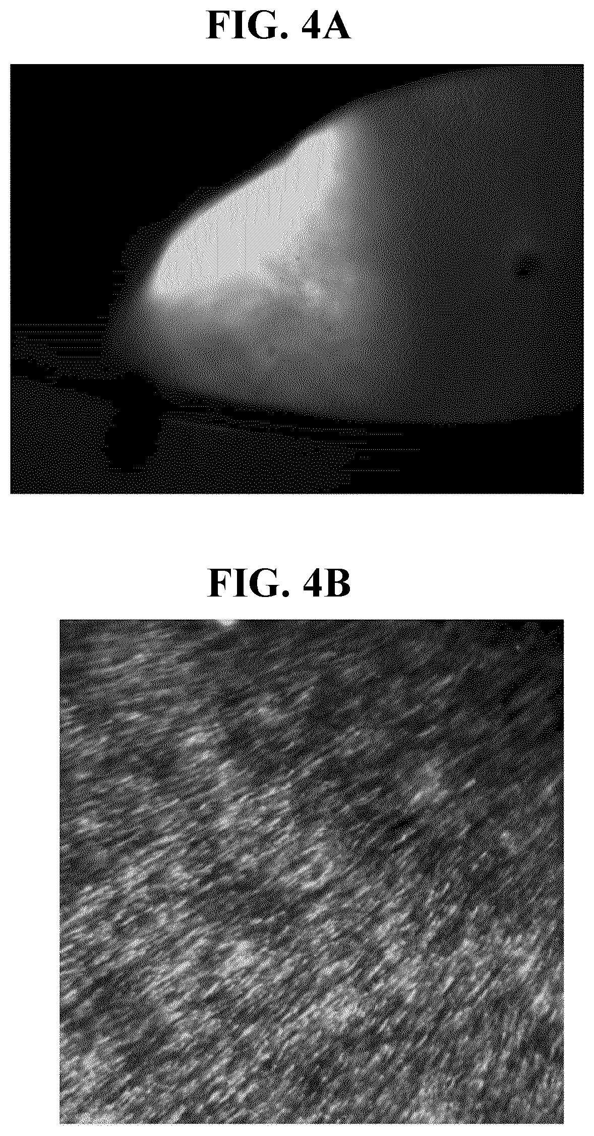 Patent US11793887 Figure 8 – Gene therapy for treating peroxisomal disorders
