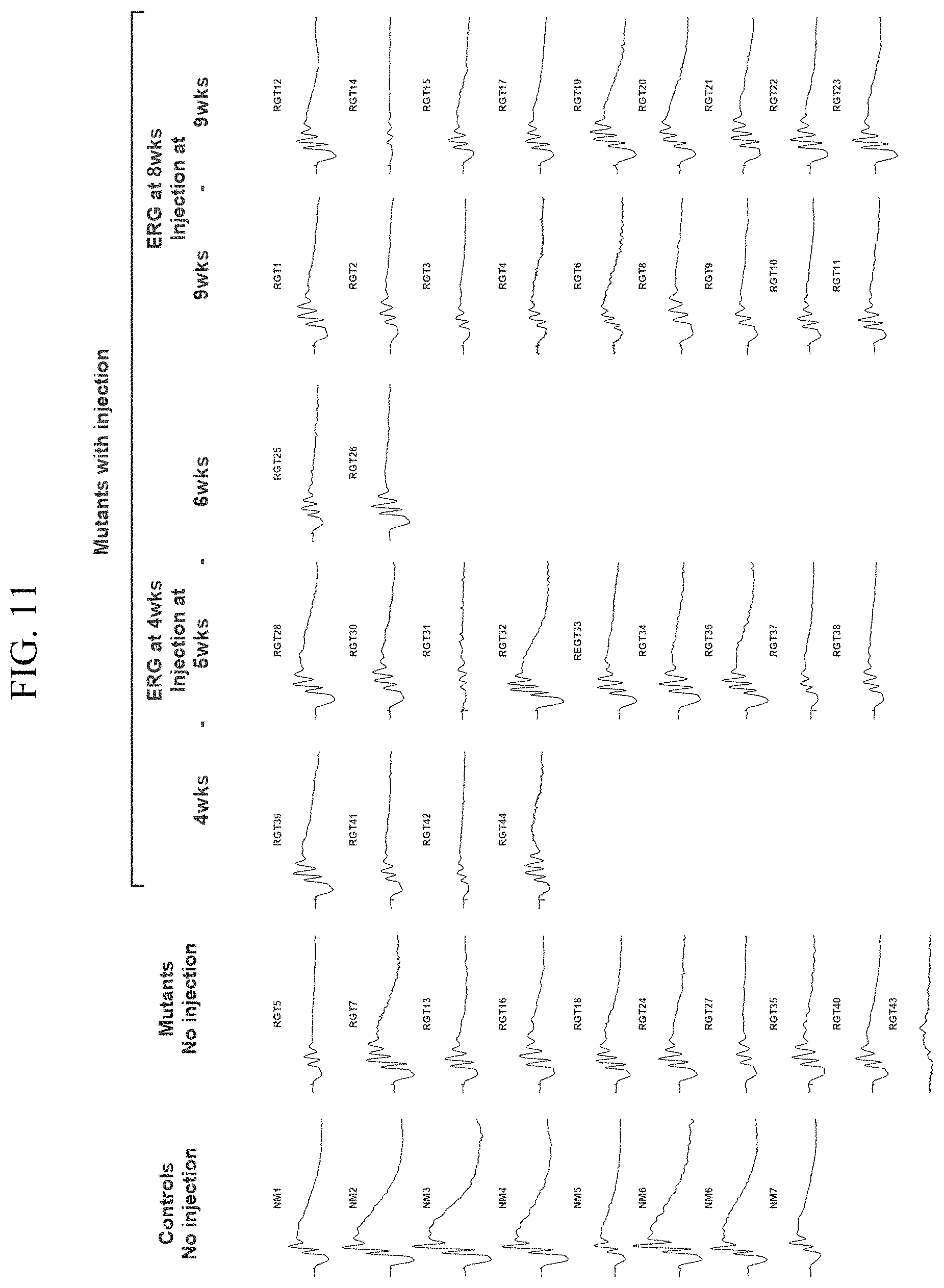 Patent US11793887 Figure 13 – Gene therapy for treating peroxisomal disorders