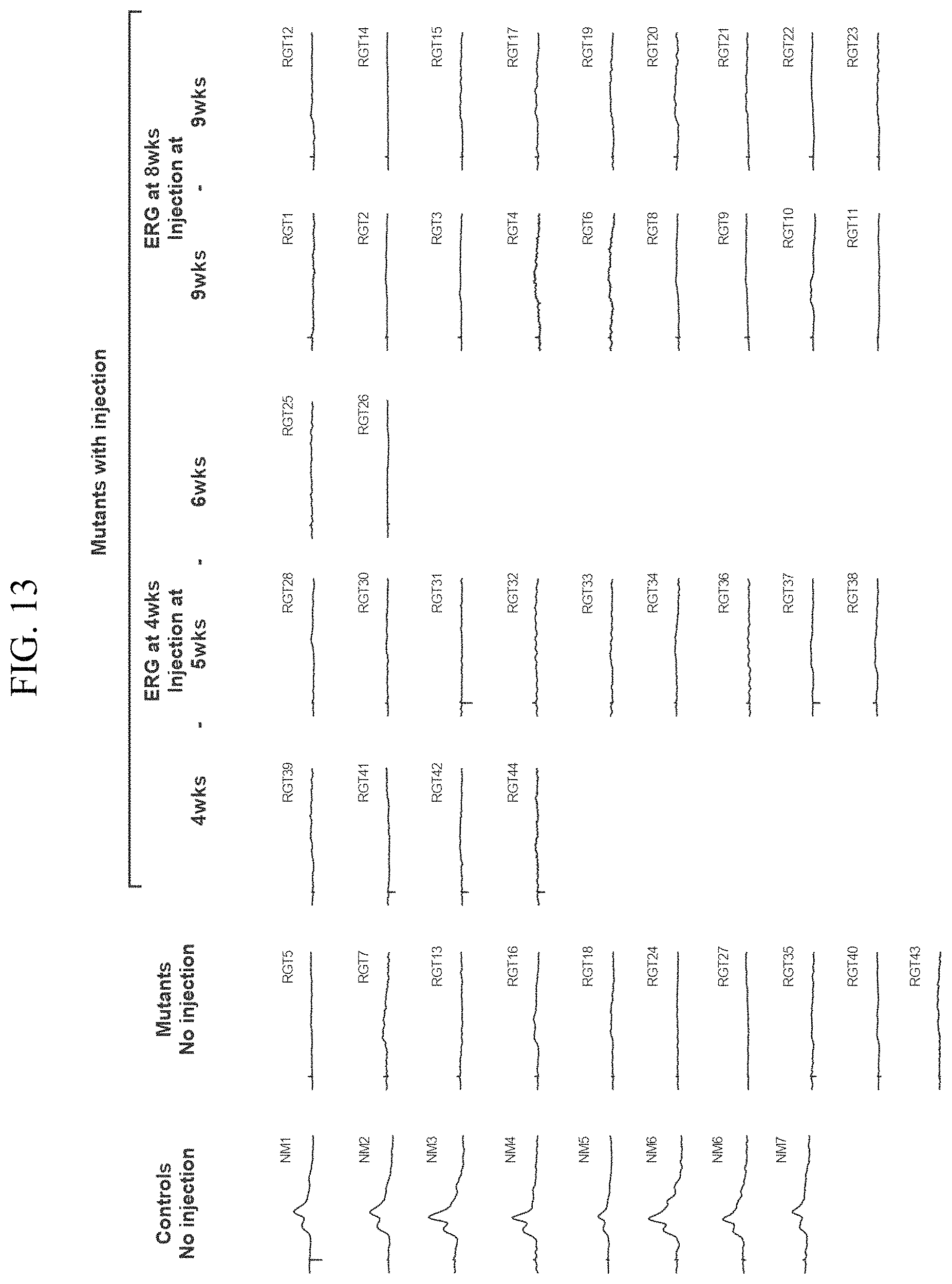 Patent US11793887 Figure 15 – Gene therapy for treating peroxisomal disorders