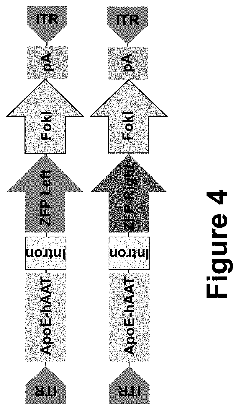 Patent US11793888 Figure 4 – Methods and compositions for engineering immunity