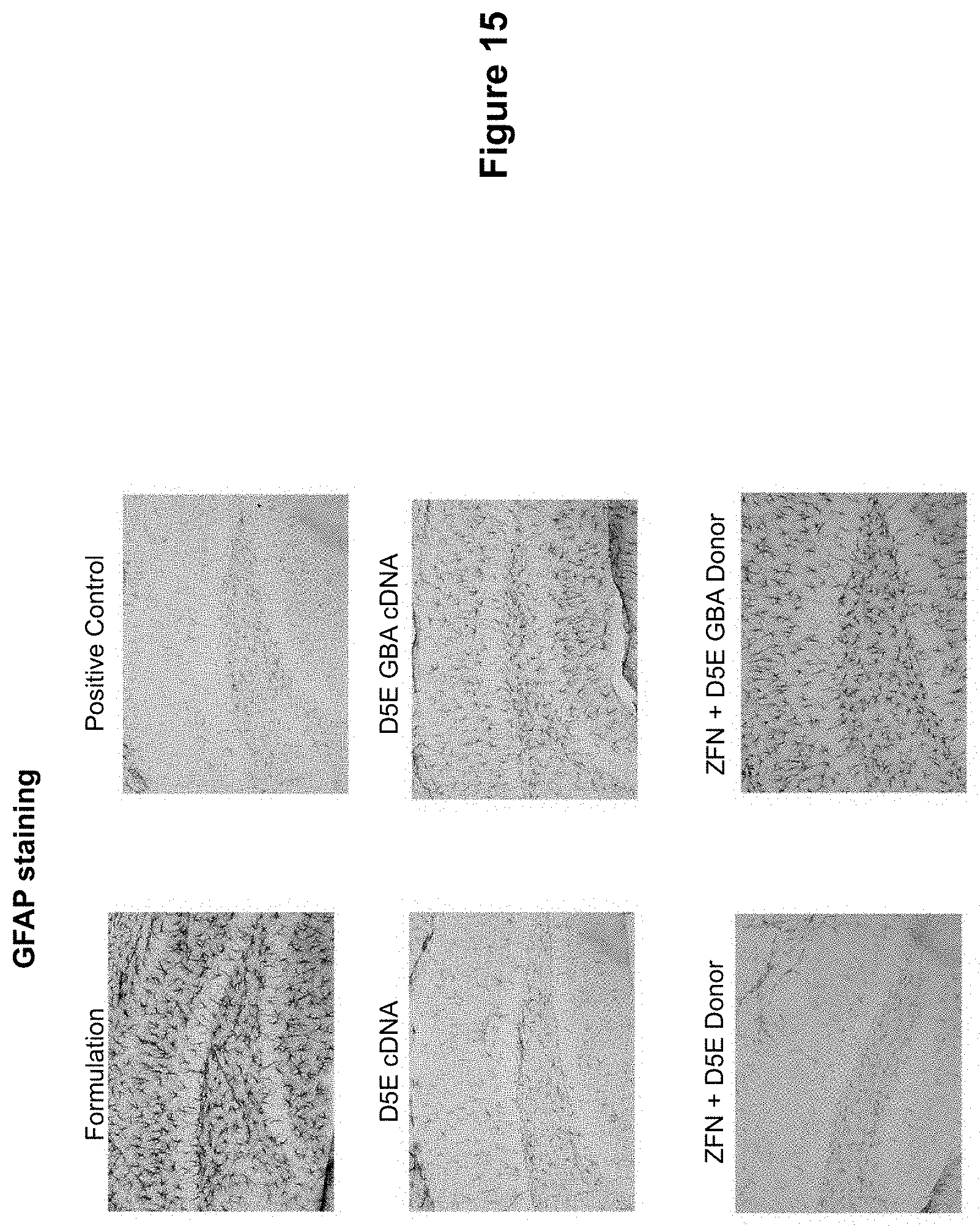 Patent US11793888 Figure 15 – Methods and compositions for engineering immunity