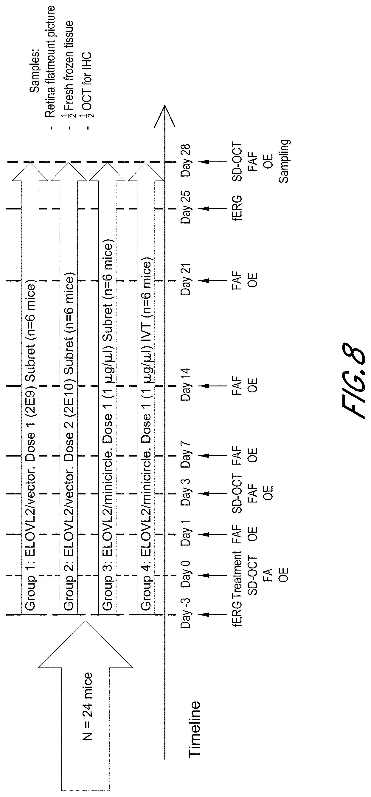Patent US11793890 Figure 8 – ELOVL2 constructs for human gene therapy