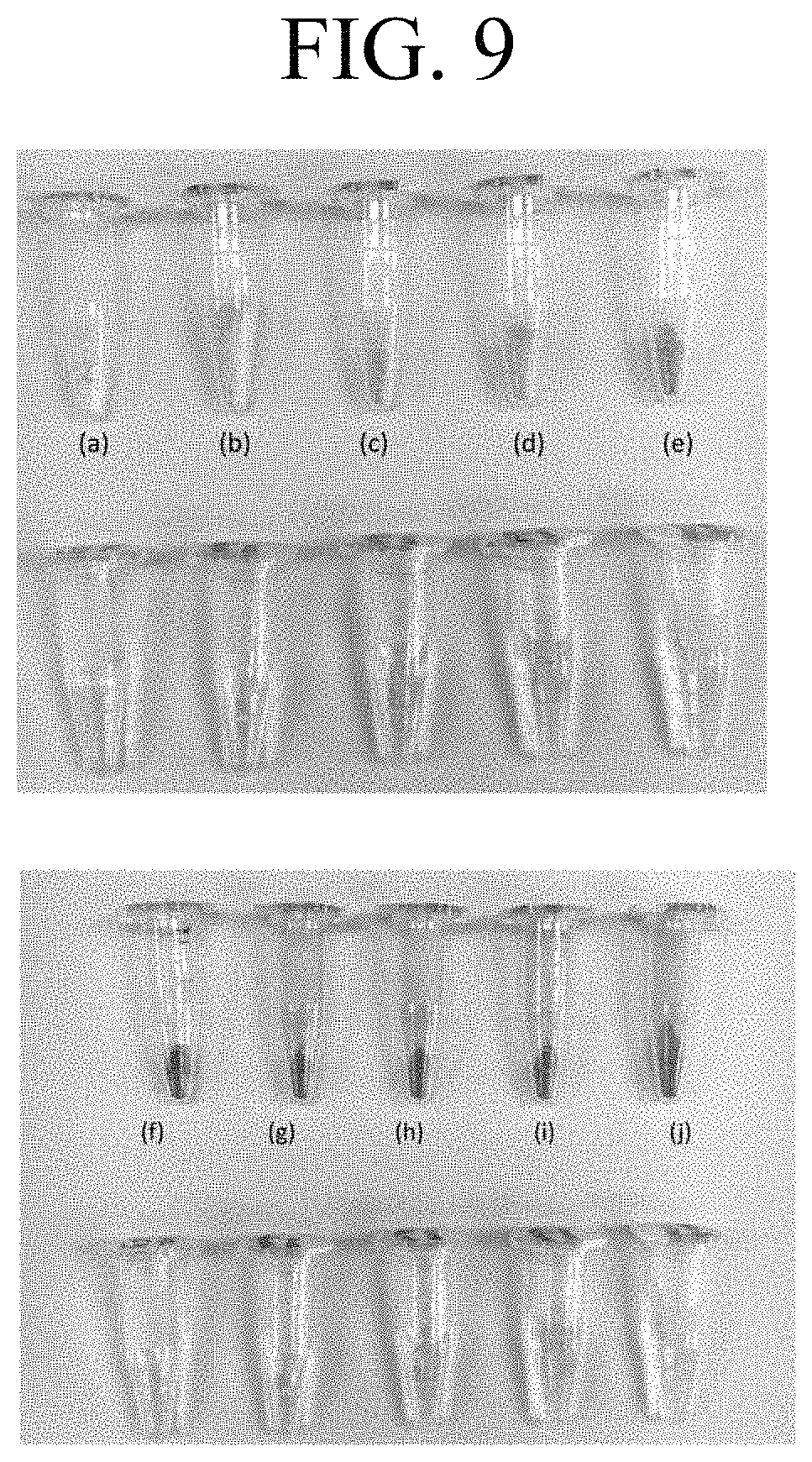 Patent US11793892 Figure 9 – Nanosilica carrier with spions and a curcuminoid