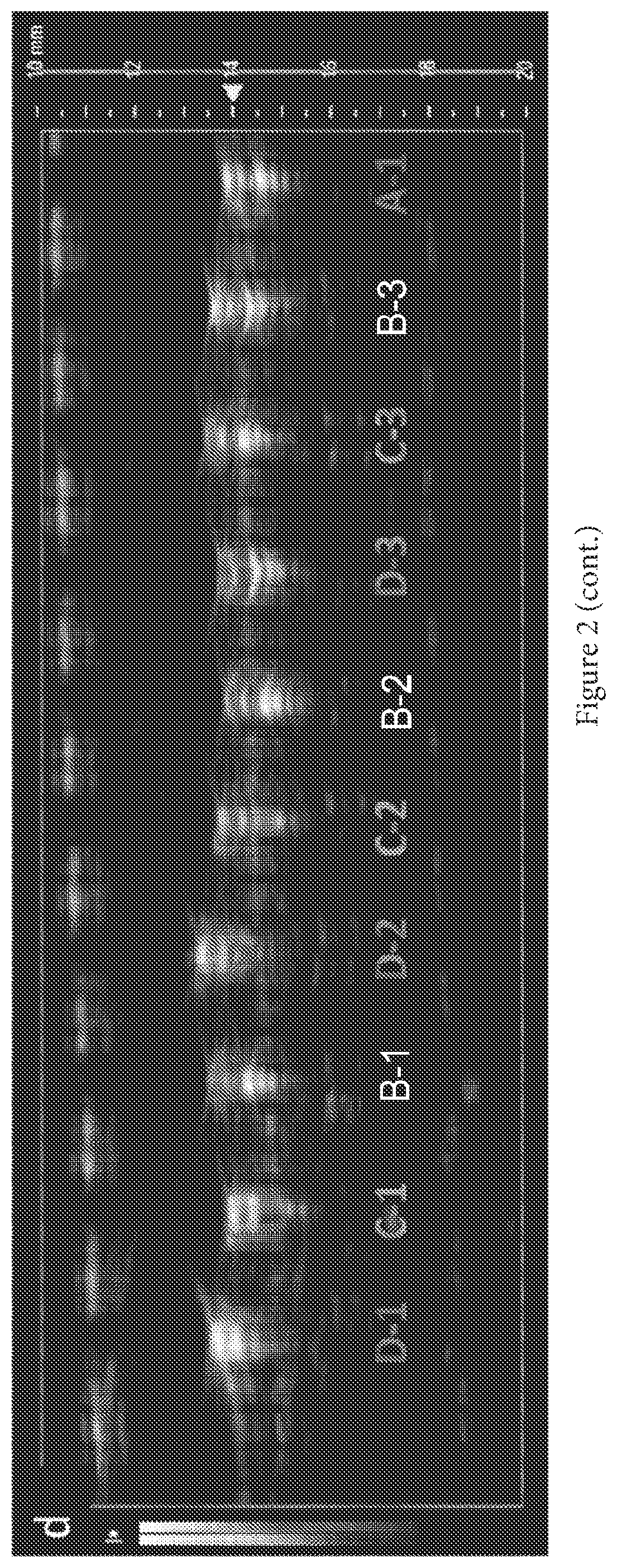 Patent US11793893 Figure 4 – Compounds comprising conductive oligomers, materials formed therefrom, and methods of making and using same