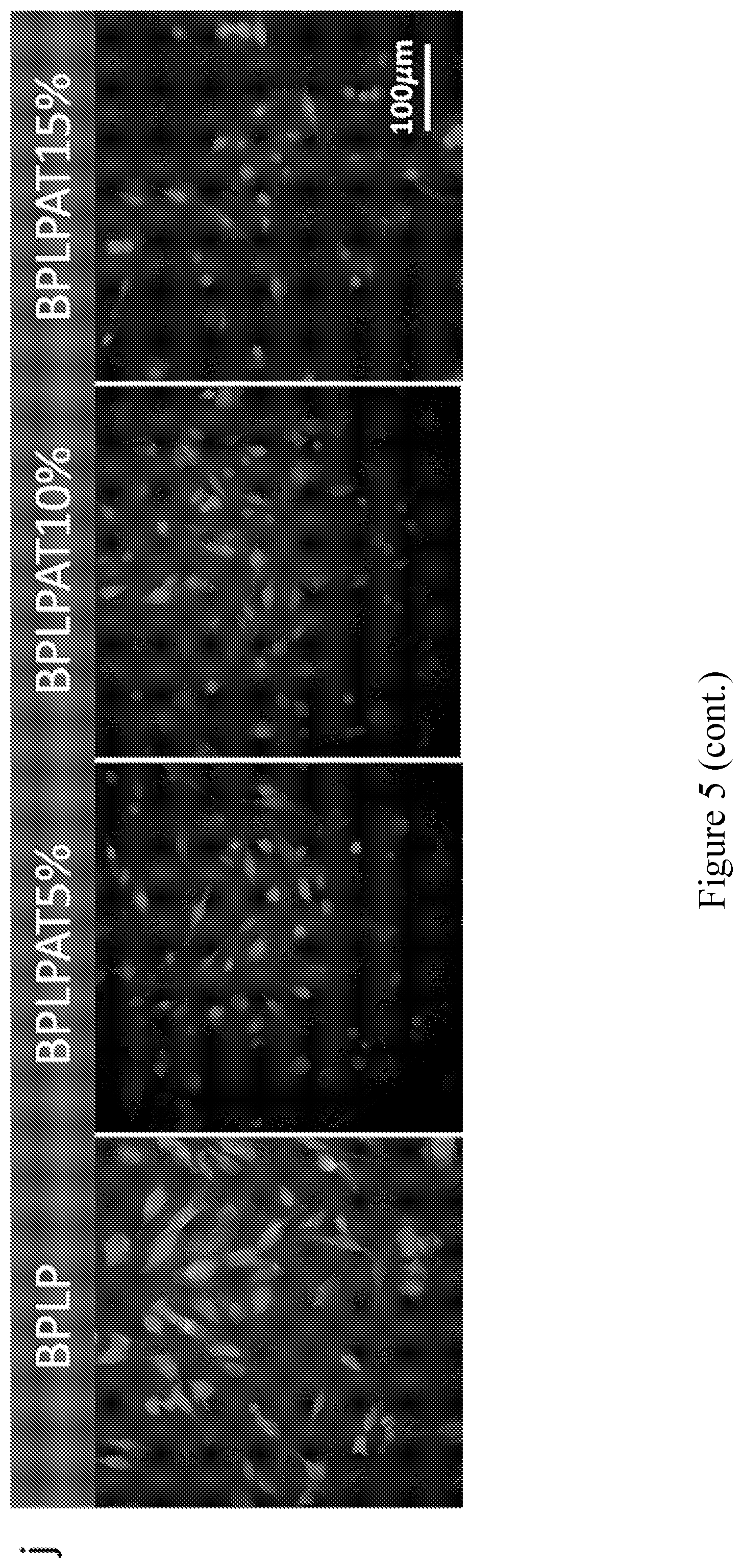 Patent US11793893 Figure 13 – Compounds comprising conductive oligomers, materials formed therefrom, and methods of making and using same