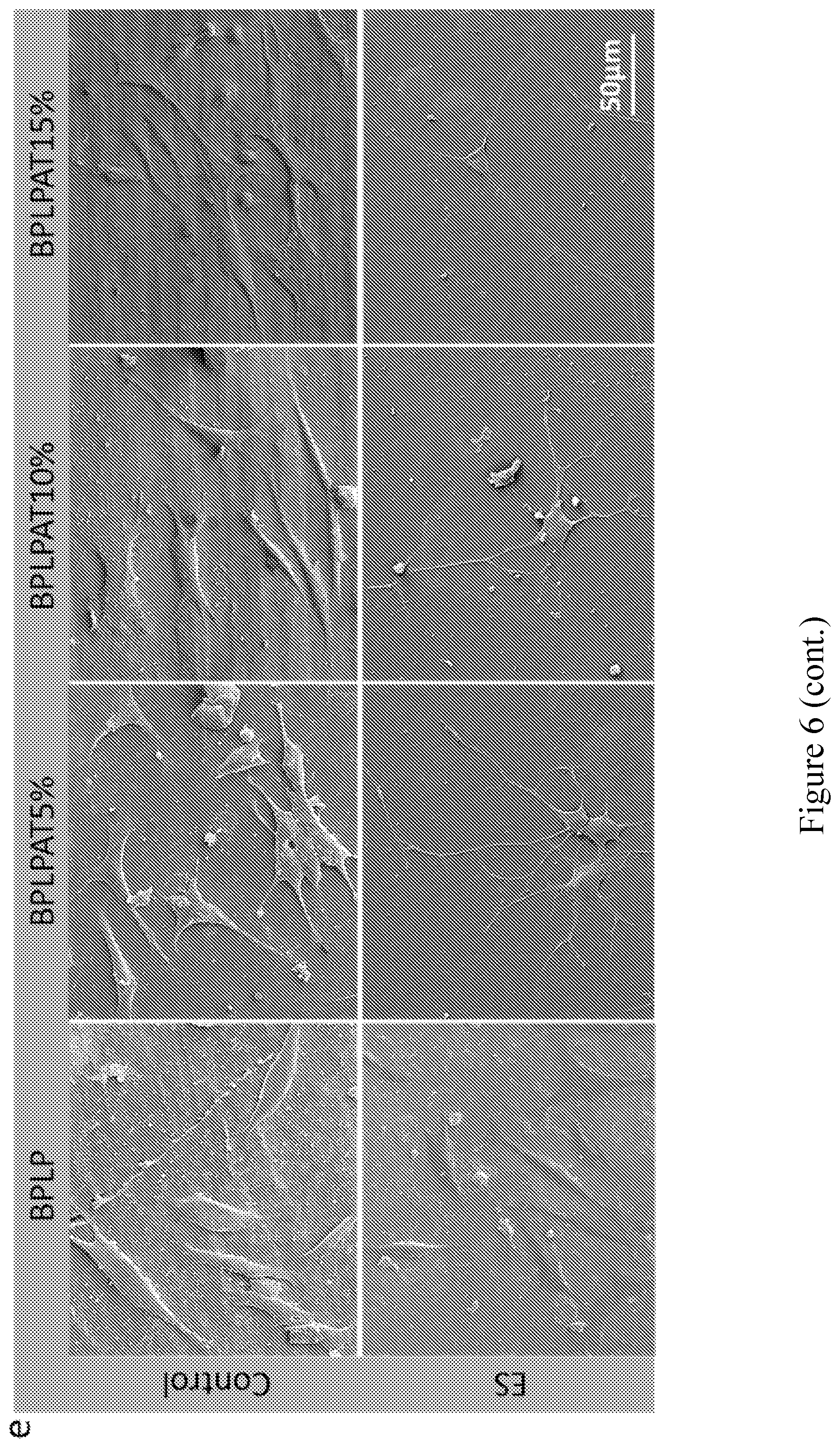 Patent US11793893 Figure 16 – Compounds comprising conductive oligomers, materials formed therefrom, and methods of making and using same