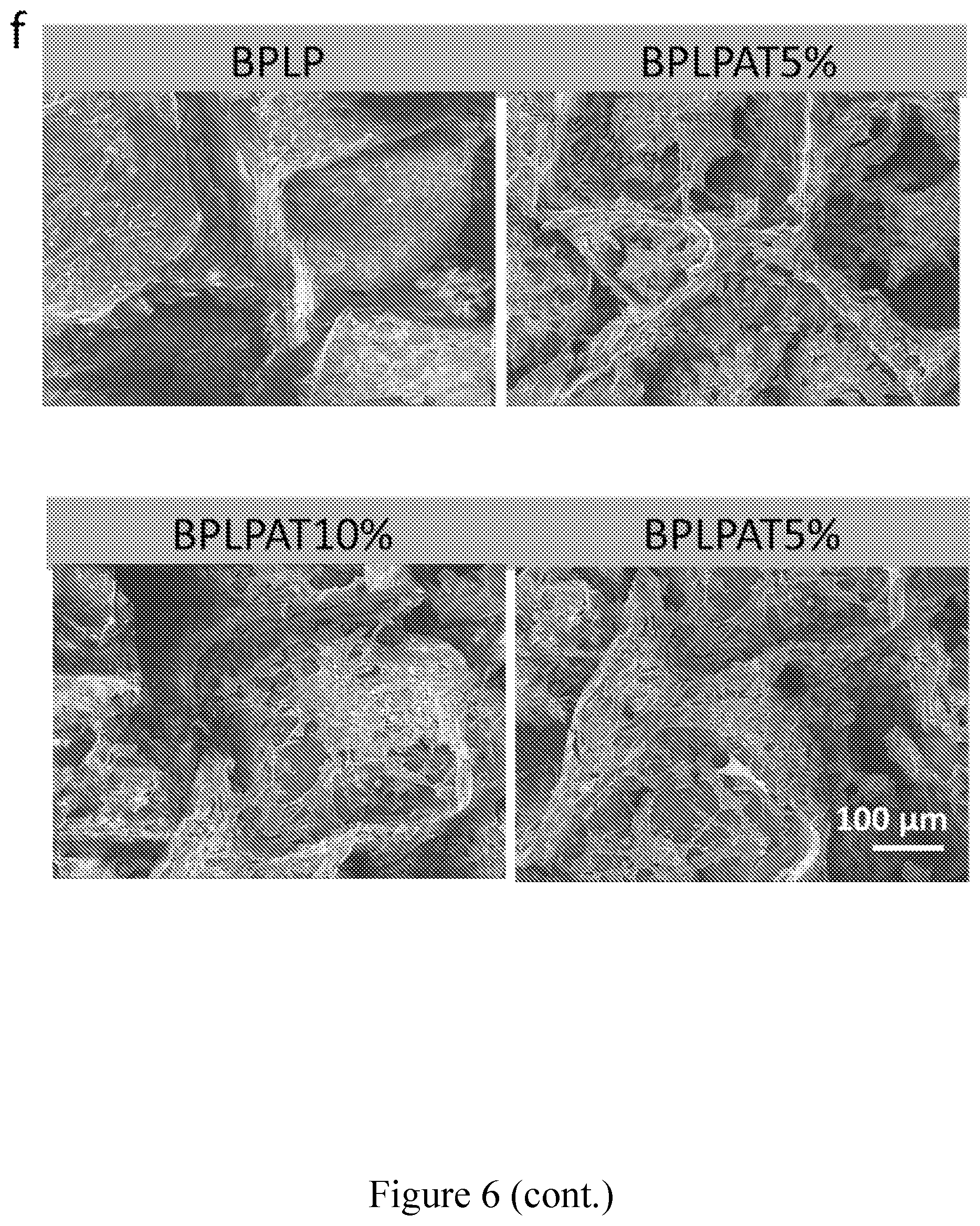 Patent US11793893 Figure 17 – Compounds comprising conductive oligomers, materials formed therefrom, and methods of making and using same