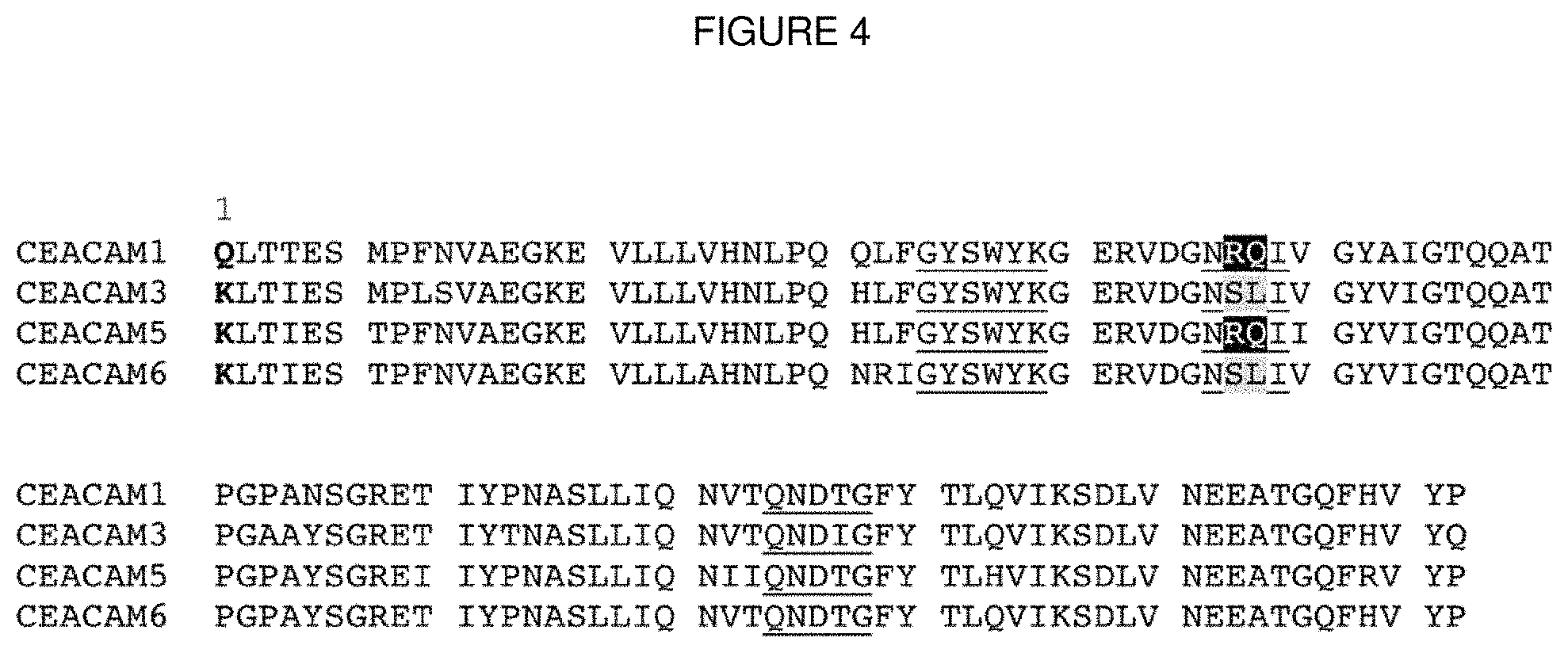 Patent US11793894 Figure 4 – Modulation of immunity and CEACAM1 activity