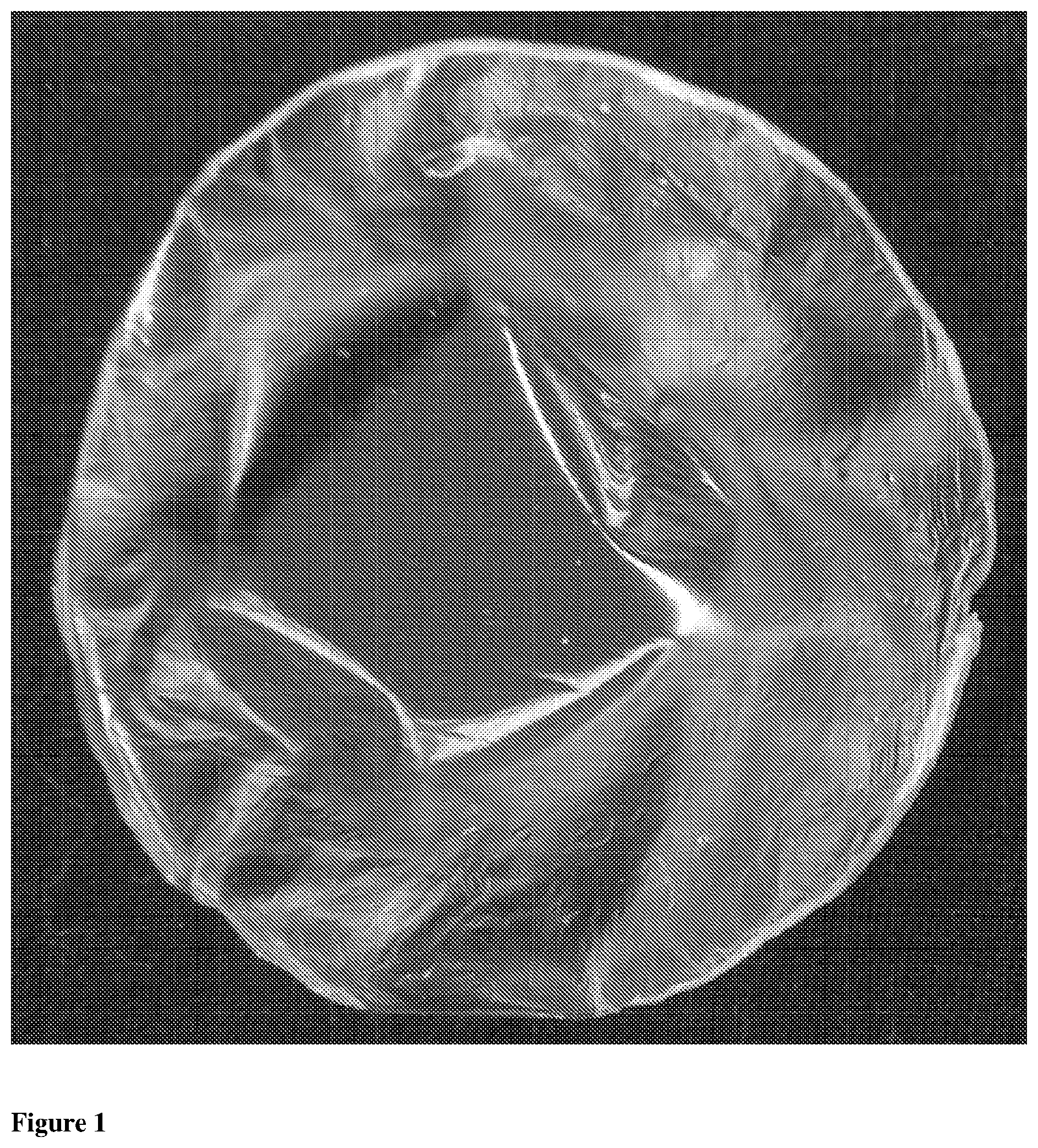 Patent US11793905 Figure 1 – Dressing