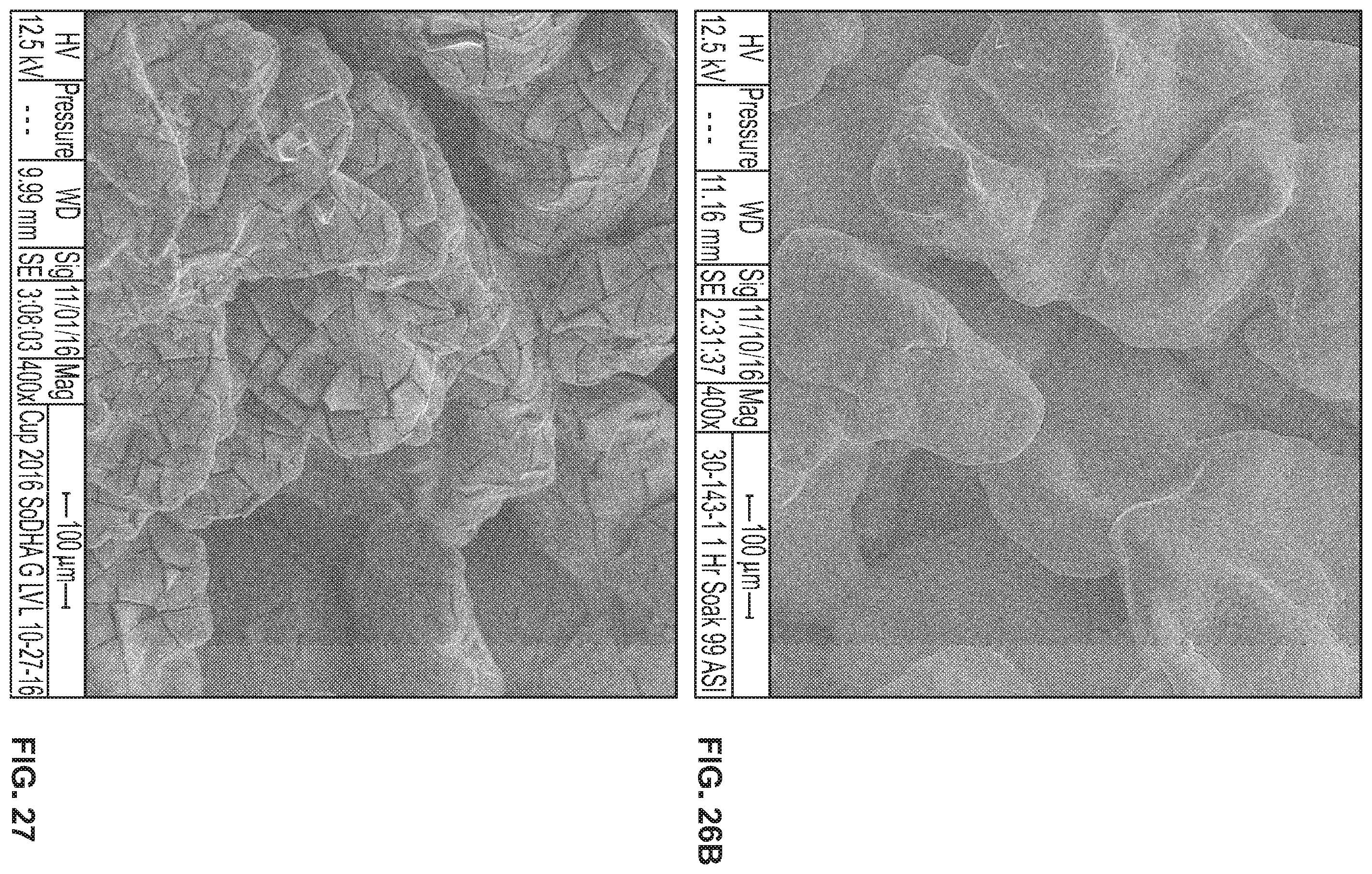 Patent US11793907 Figure 16 – Orthopedic implant having a crystalline gallium-containing hydroxyapatite coating and methods for making the same
