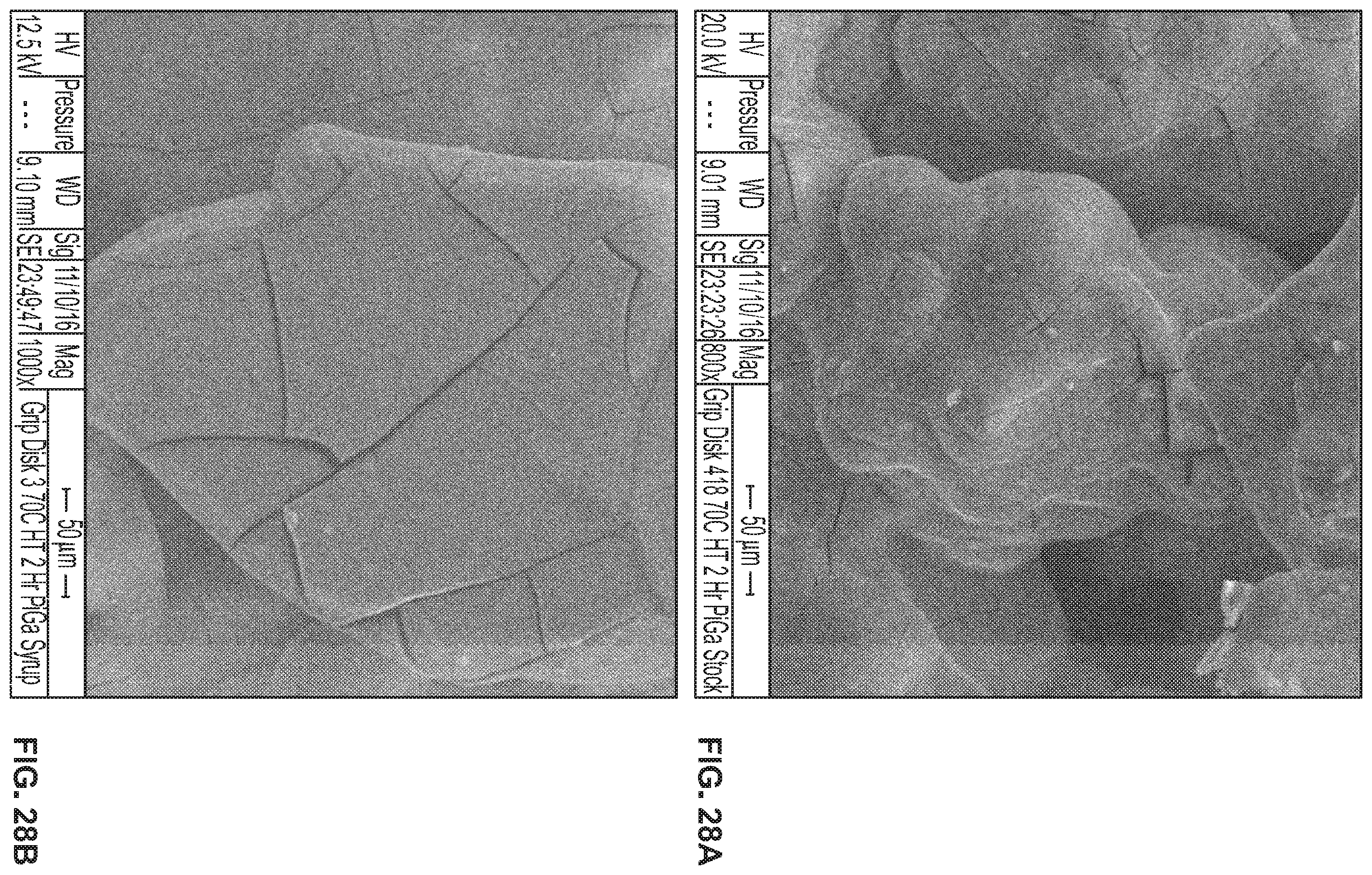 Patent US11793907 Figure 17 – Orthopedic implant having a crystalline gallium-containing hydroxyapatite coating and methods for making the same