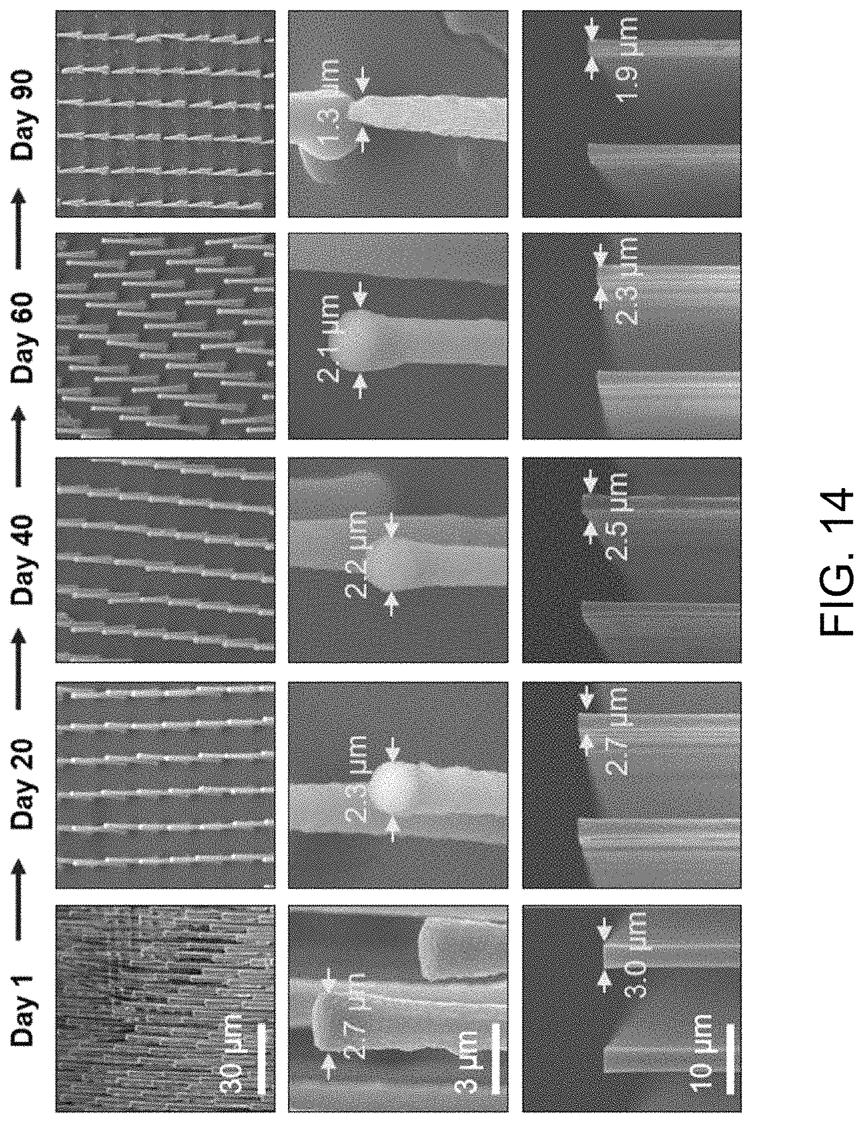 Patent US11793982 Figure 14 – Drug delivery devices and methods of fabrication and use therefor