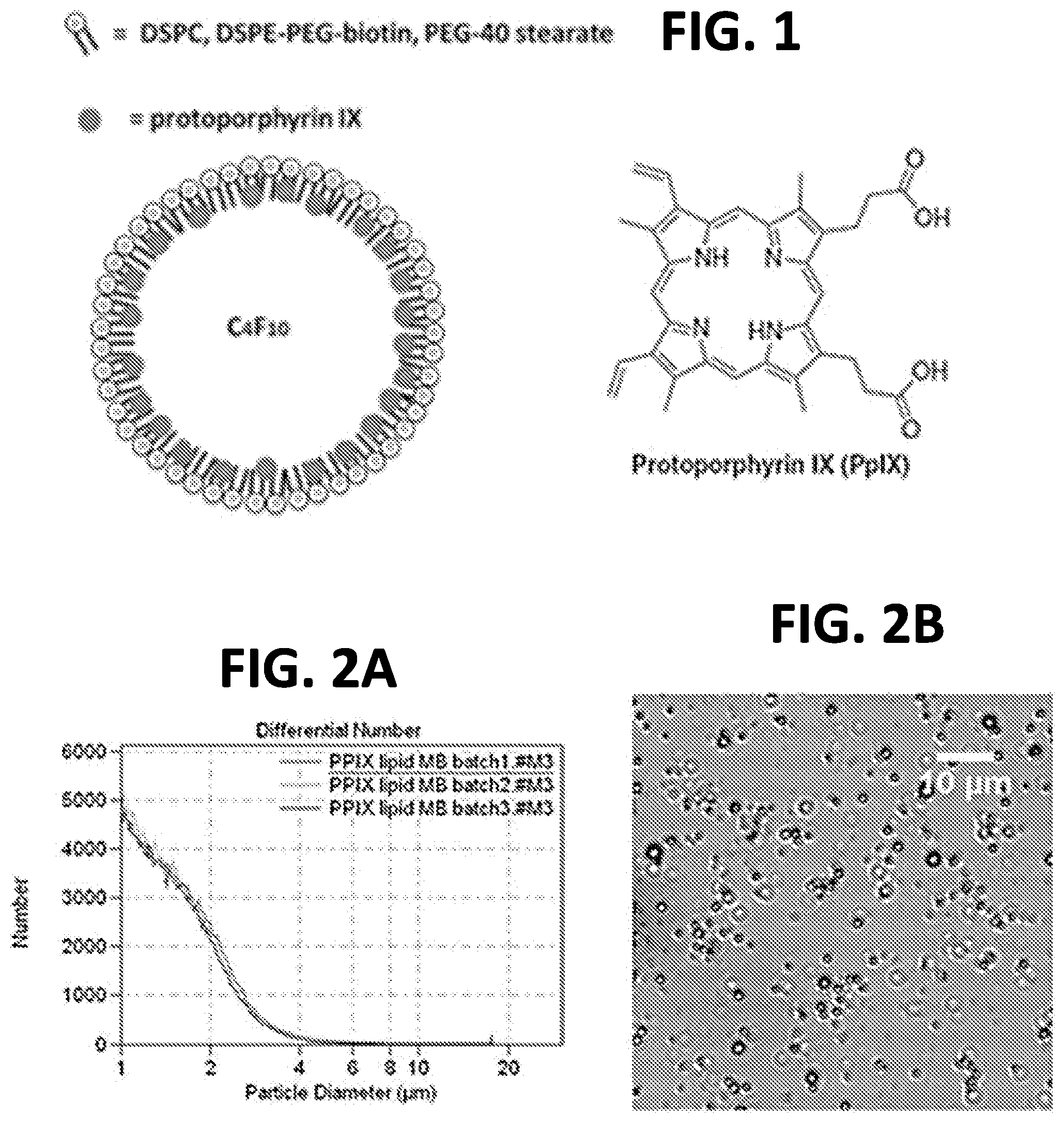Patent US11793983 Figure 1 – Sonodynamic therapy using microbubbles and pulsed wave ultrasound methods and systems