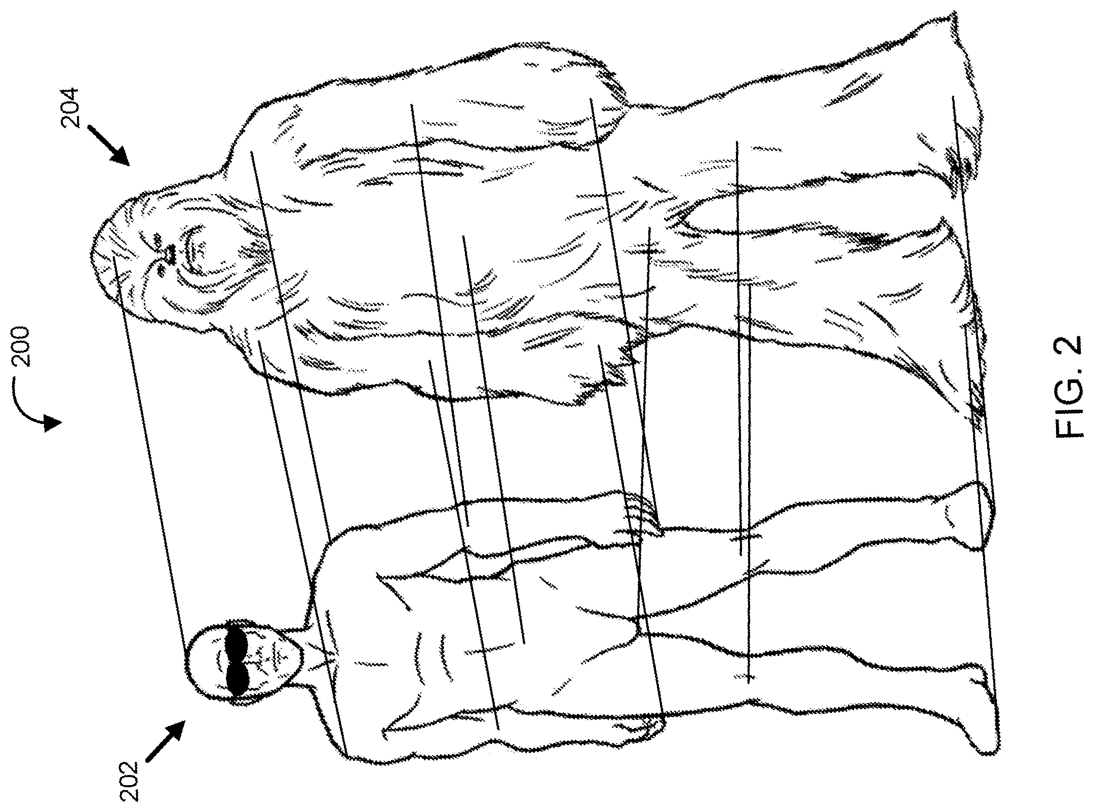 Patent US11810226 Figure 2 – Systems and methods for utilizing a living entity as a marker for augmented reality content