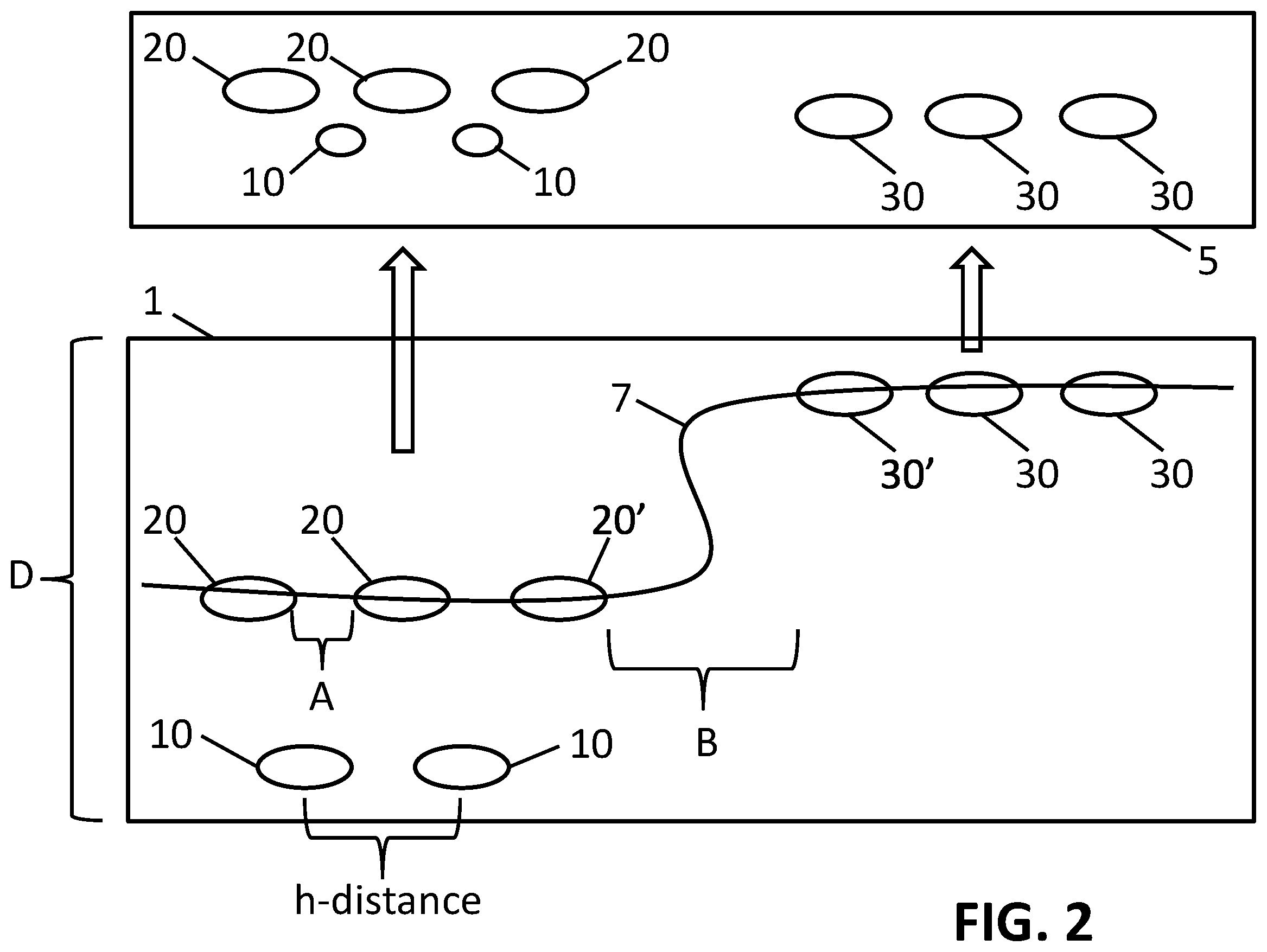 Patent US11810280 Figure 2 – Enhanced extended depth of focusing on biological samples