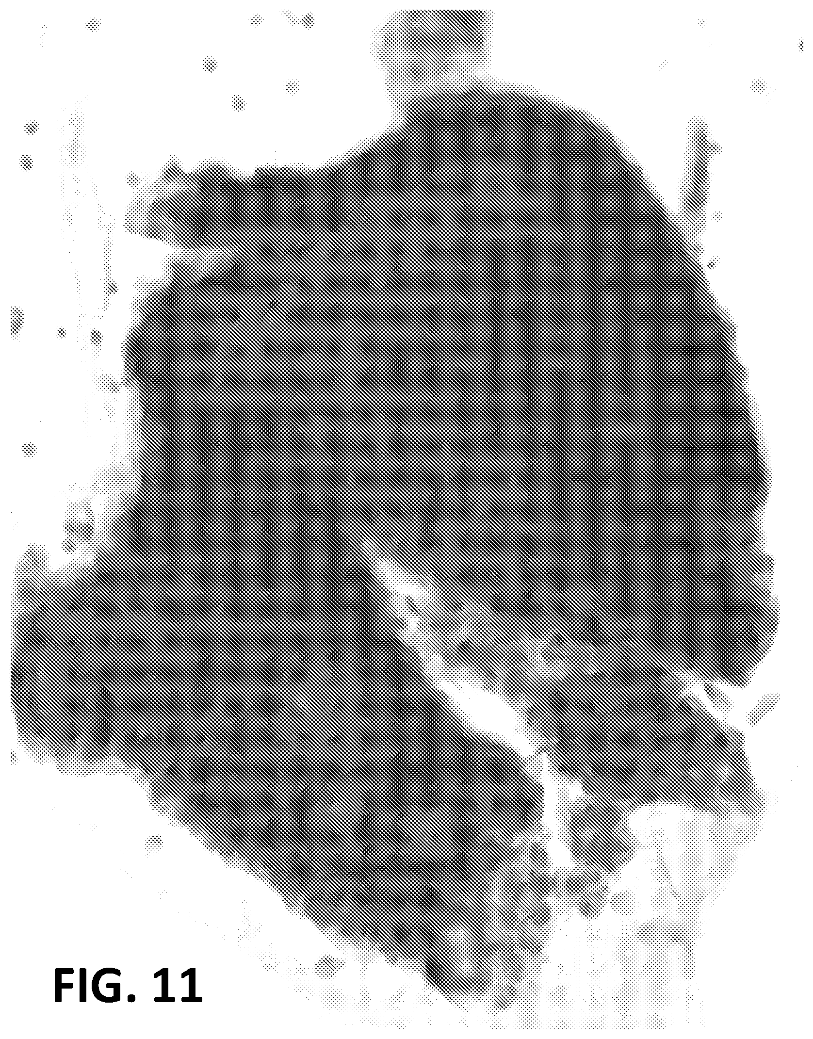 Patent US11810280 Figure 9 – Enhanced extended depth of focusing on biological samples