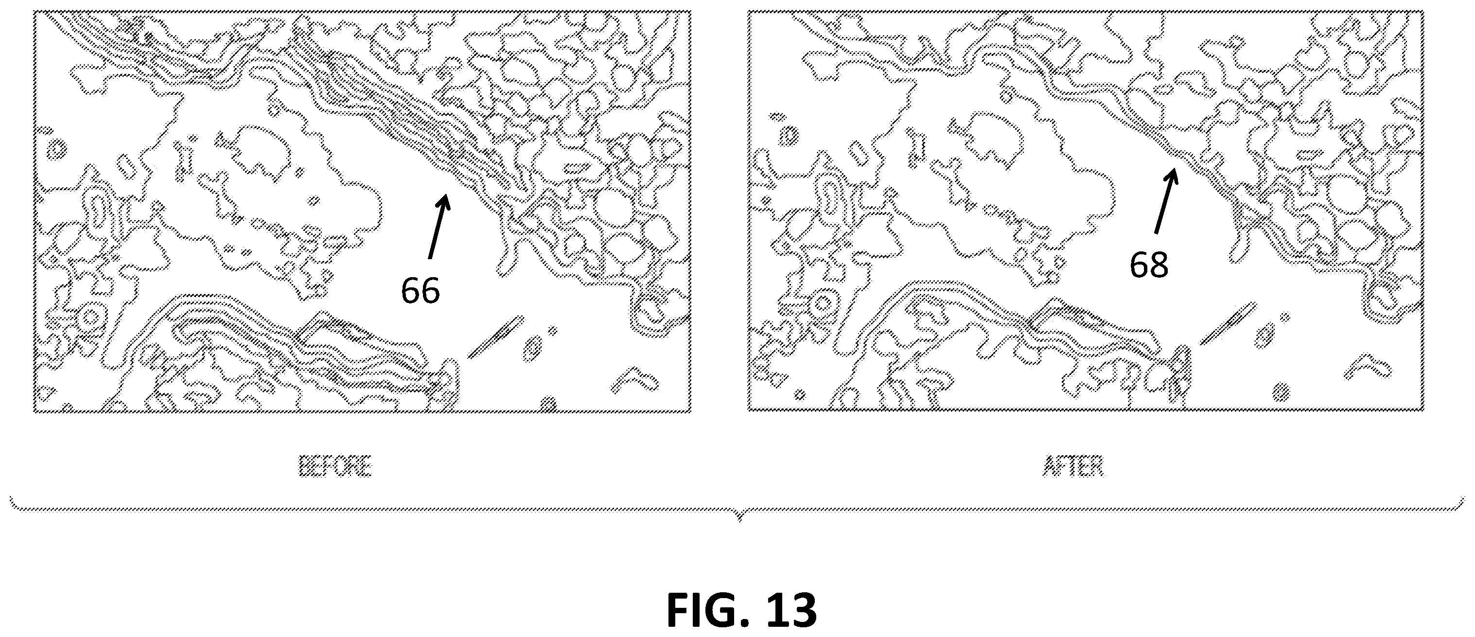 Patent US11810280 Figure 11 – Enhanced extended depth of focusing on biological samples
