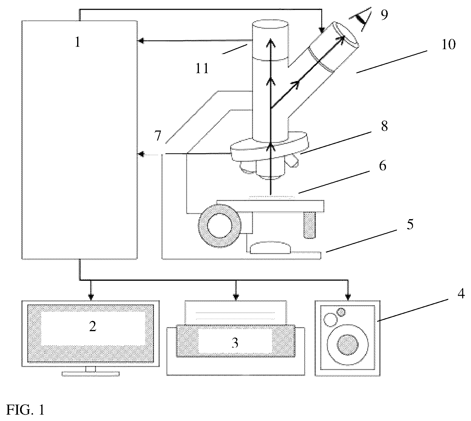 Patent US11810297 Figure 1 – Computer aided diagnosis system for detecting tissue lesion on microscopy images based on multi-resolution feature fusion