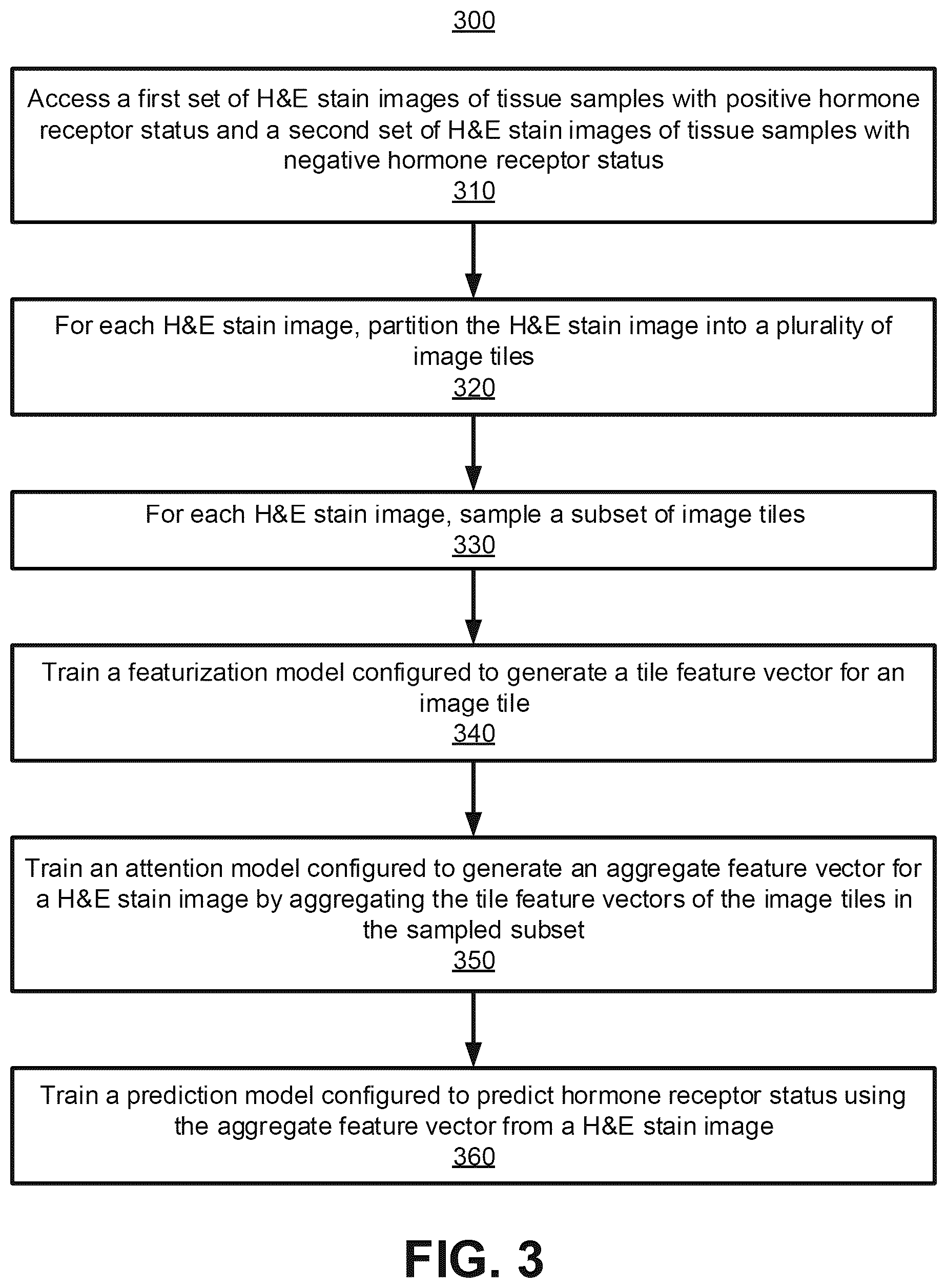 Patent US11810298 Figure 4 – Machine-learned hormone status prediction from image analysis