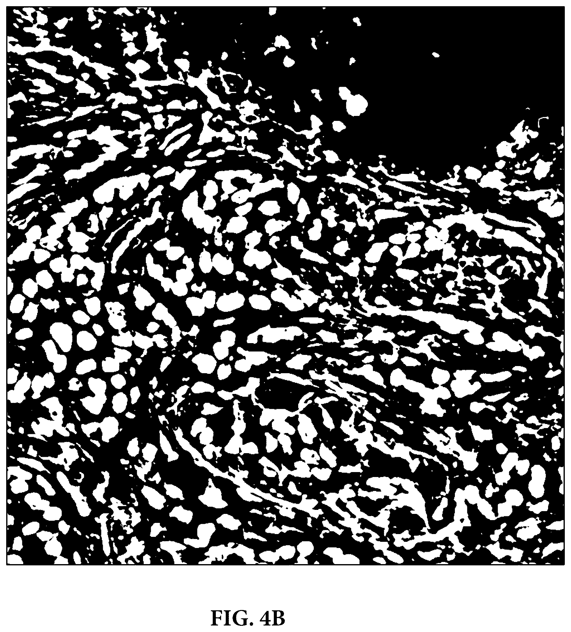 Patent US11810305 Figure 7 – Foreground segmentation and nucleus ranking for scoring dual ISH images