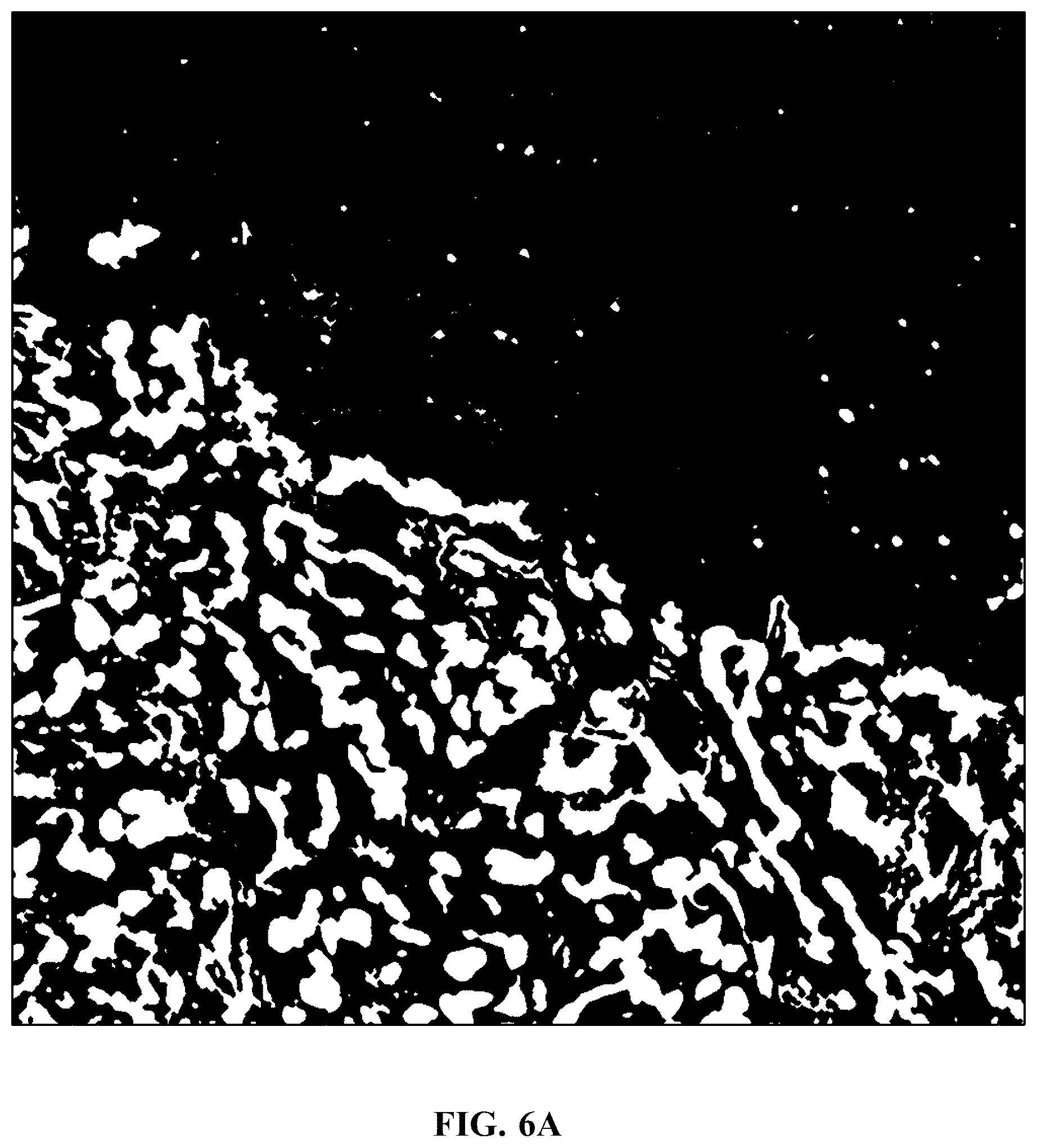 Patent US11810305 Figure 10 – Foreground segmentation and nucleus ranking for scoring dual ISH images